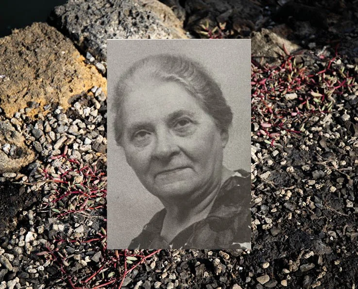 Boek Halfbloed12.jpg