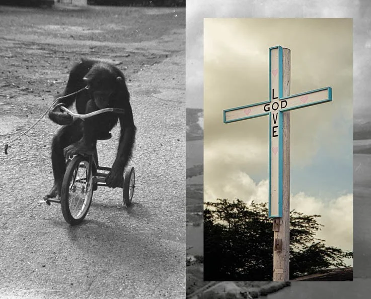 boekje moleskin5.jpg