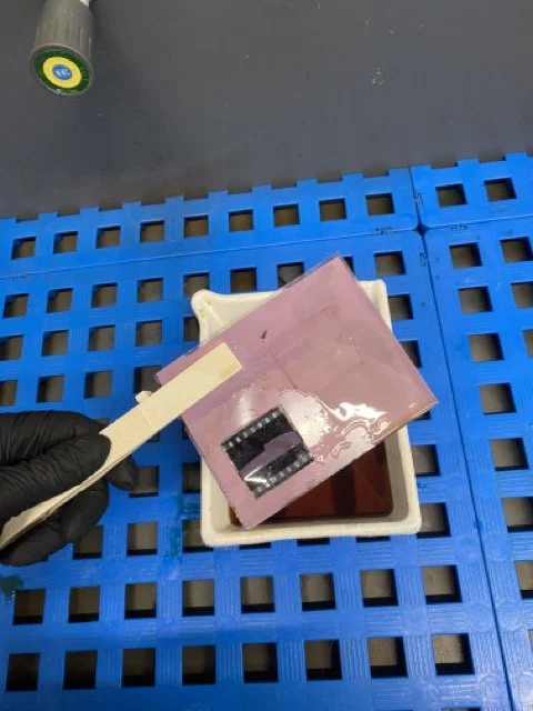 IMG_8408 2 Medium.jpeg