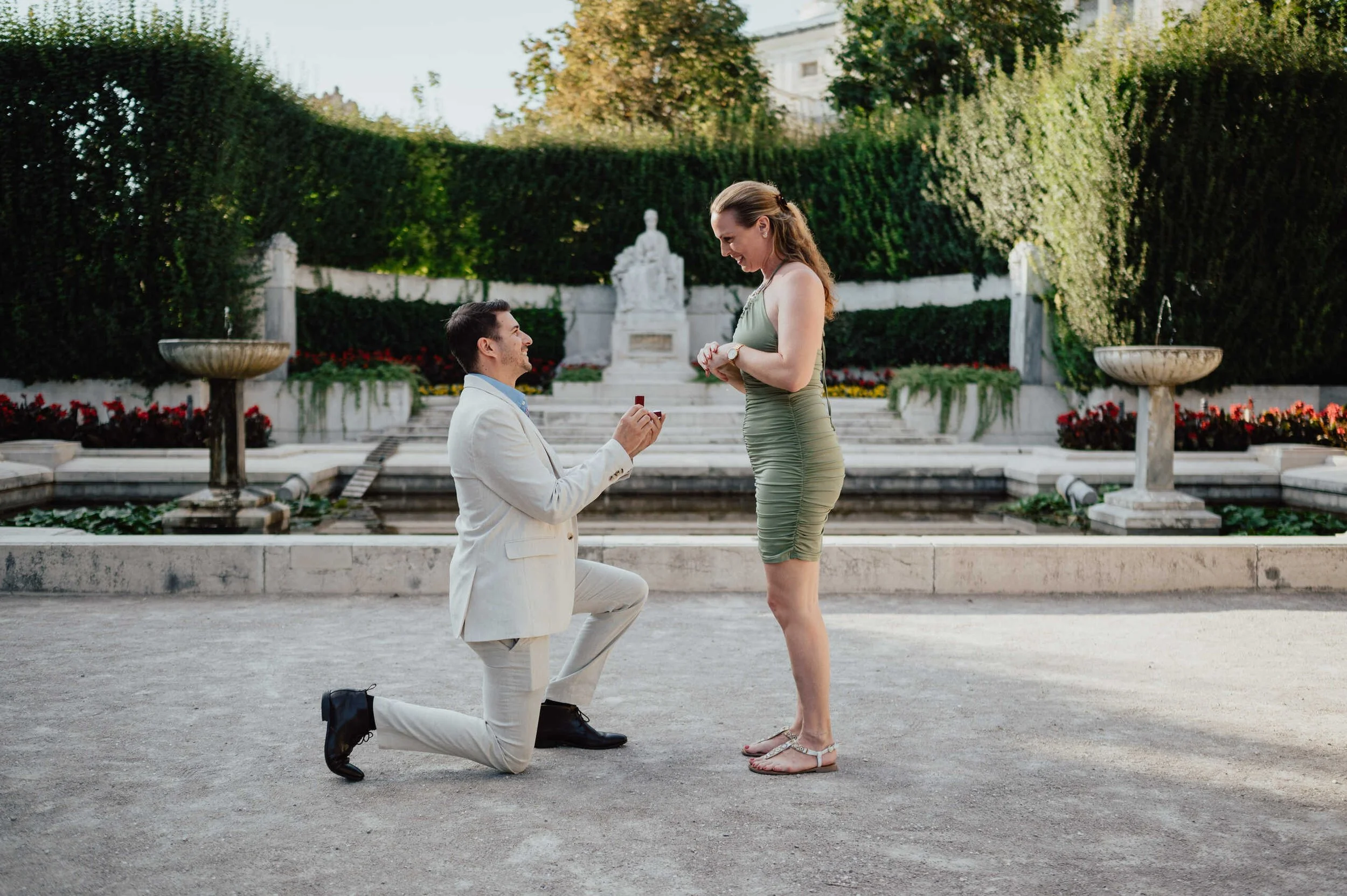 Riding dinner surprise proposal in Vienna