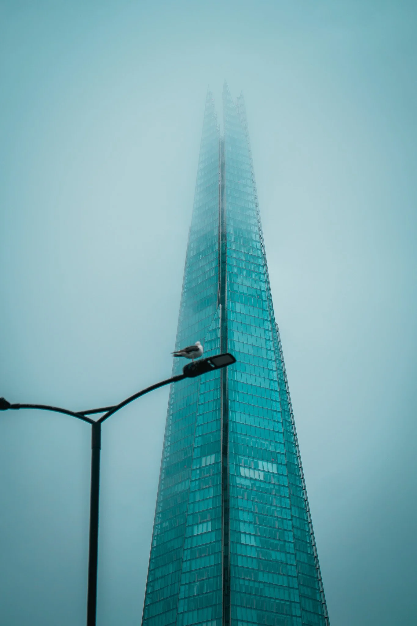 A tall, glass skyscraper shrouded in fog with a streetlamp and a bird perched on it in the foreground.