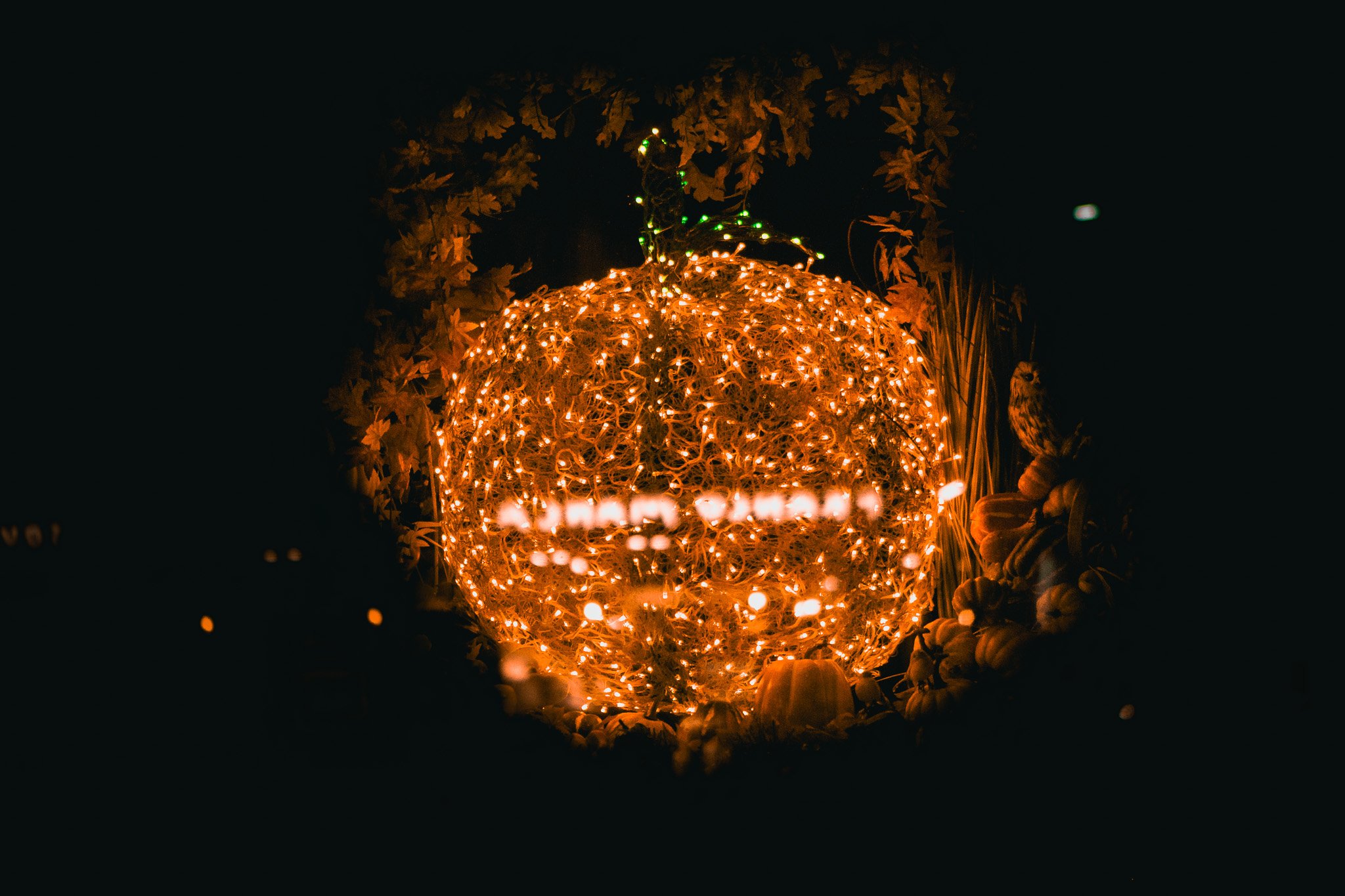 Illuminated pumpkin-shaped wireframe sculpture decorated with orange fairy lights, surrounded by pumpkins and fall foliage at night.