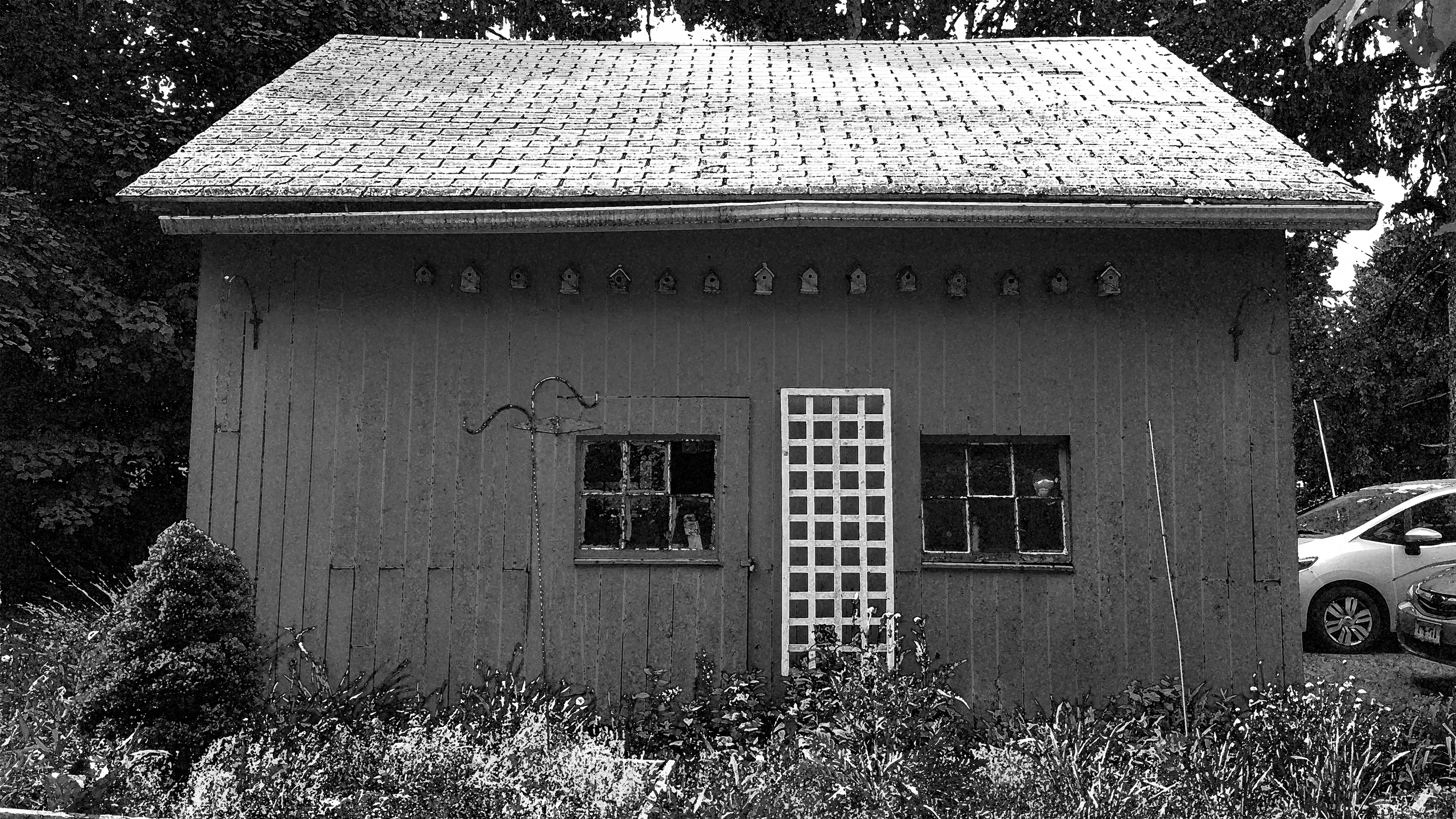Back Barn 