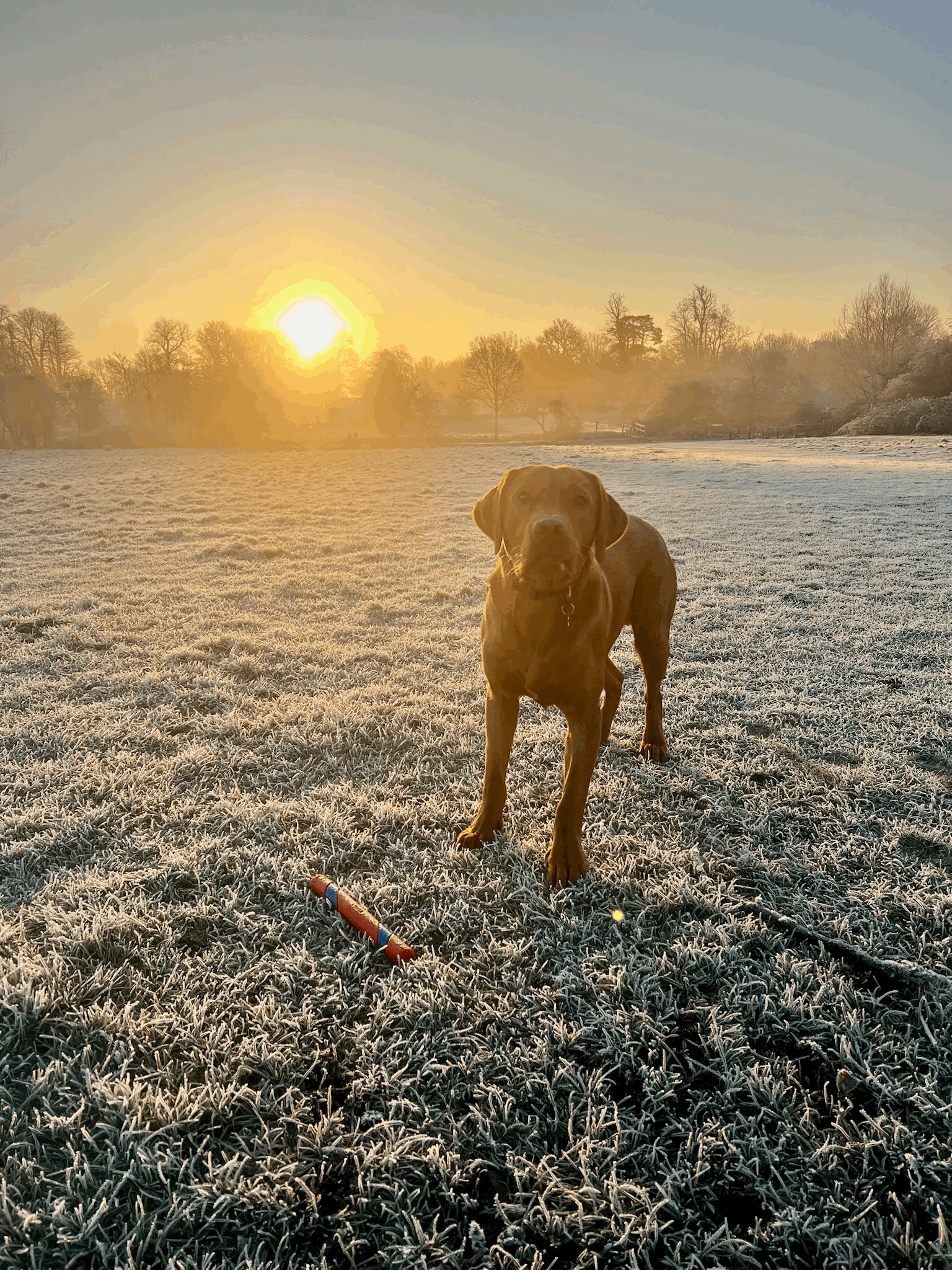 La naturaleza literalmente reconfigura tu cerebro