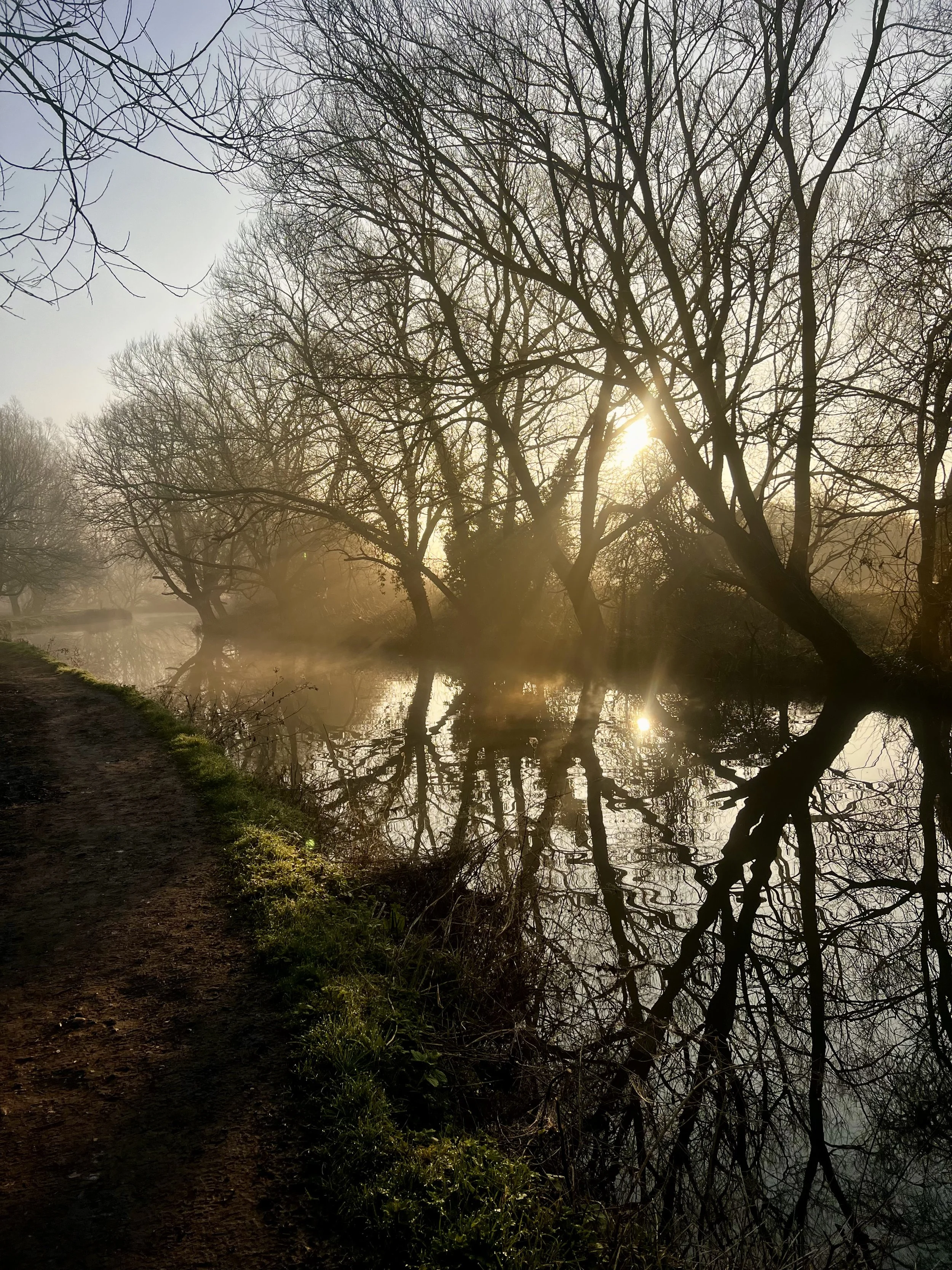 El asombro, el TDAH y la puerta a lo sagrado