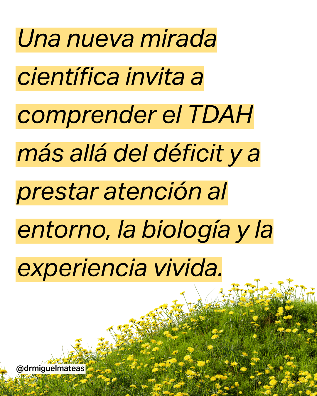 Lo que la ciencia está empezando a entender sobre el TDAH en adultos
