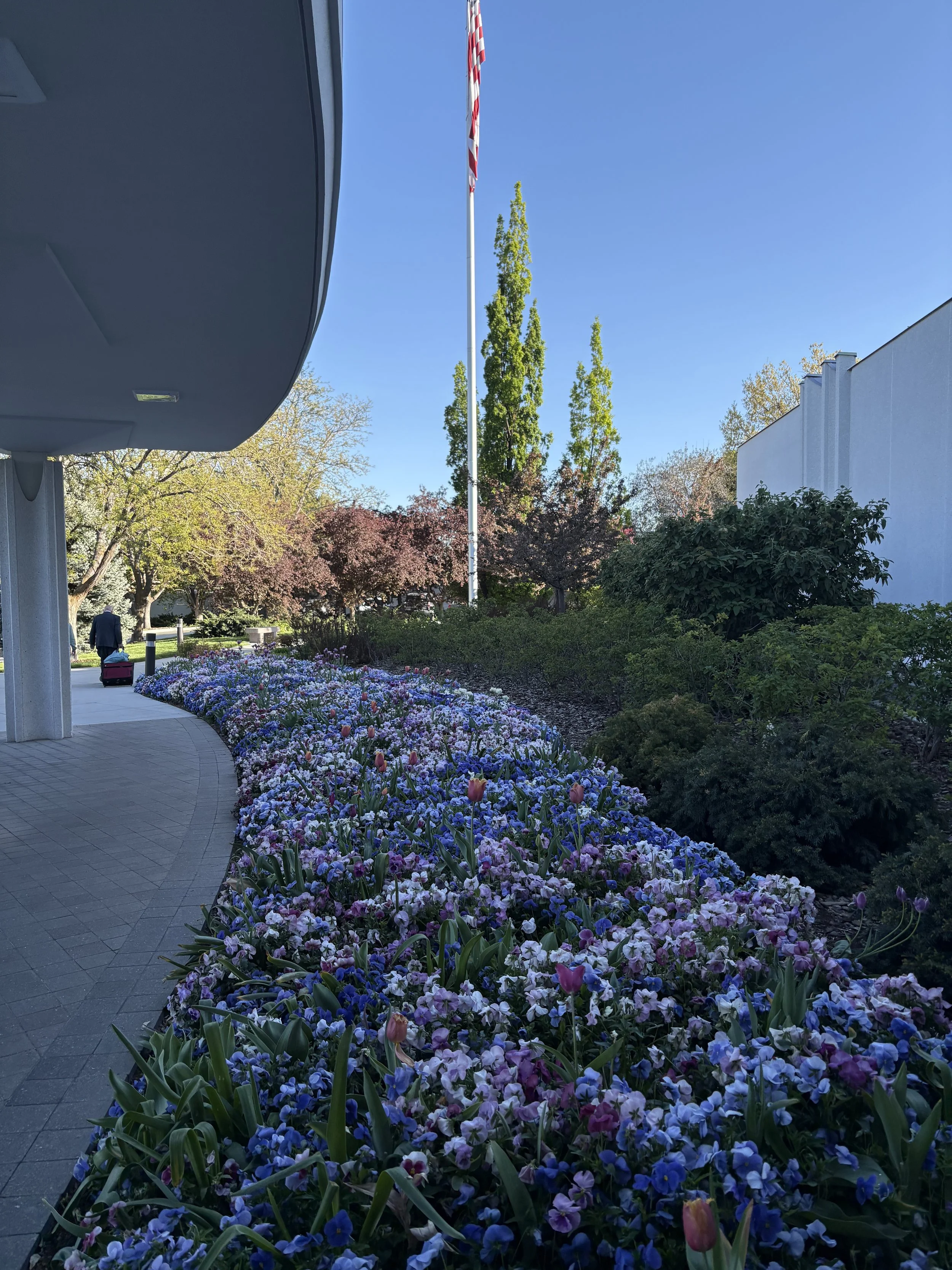 IMG_8494.jpeg