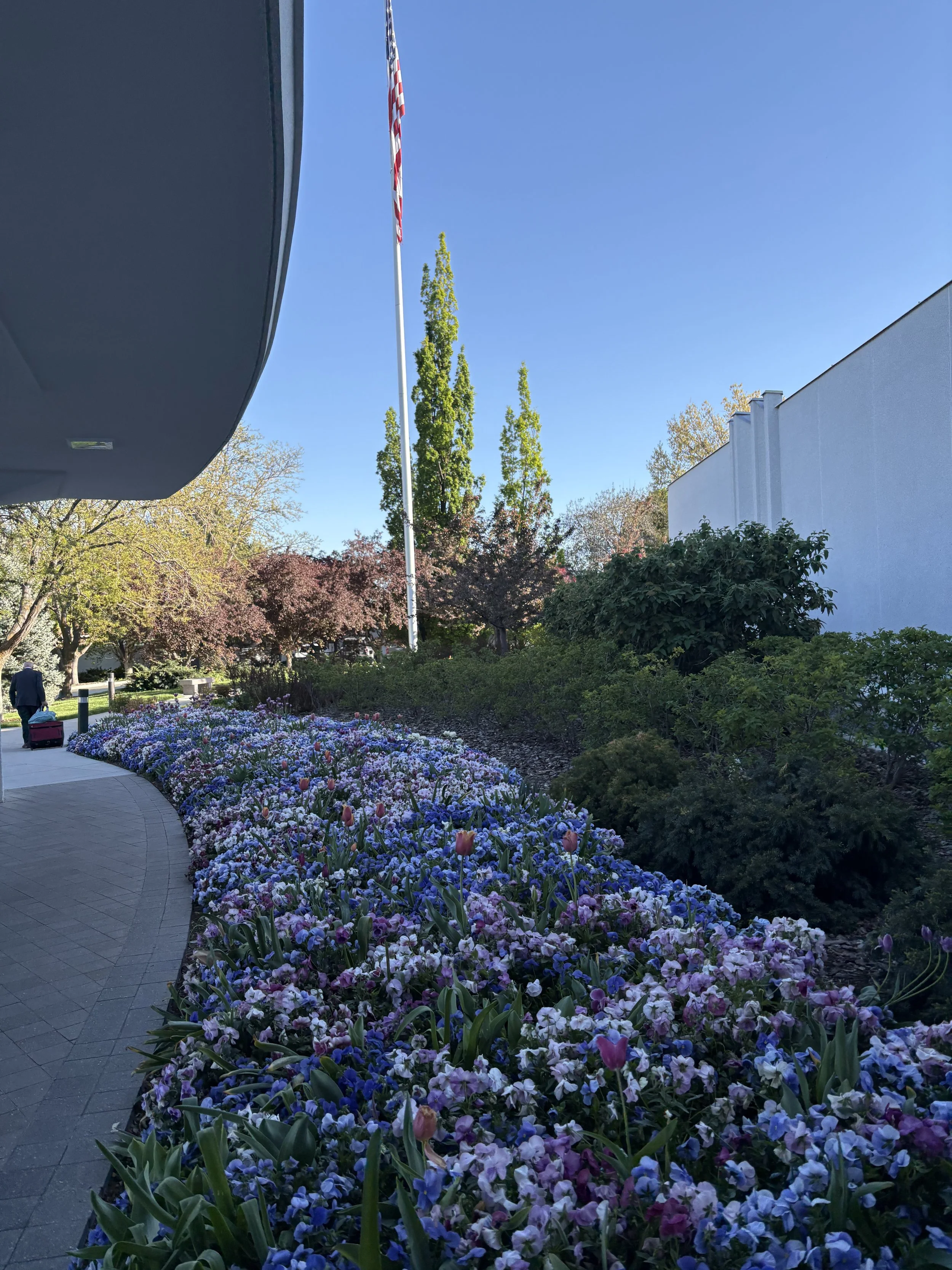 IMG_8493.jpeg