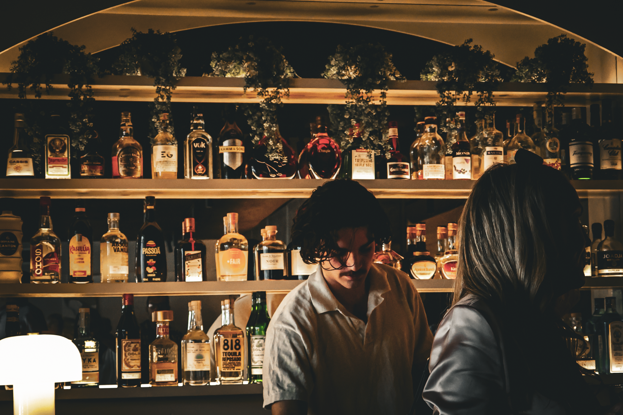 Bar scene with shelves of various liquor bottles illuminated in warm light, two bartenders, and customers. The scene is cozy with a dark background and some greenery hanging above the shelves.