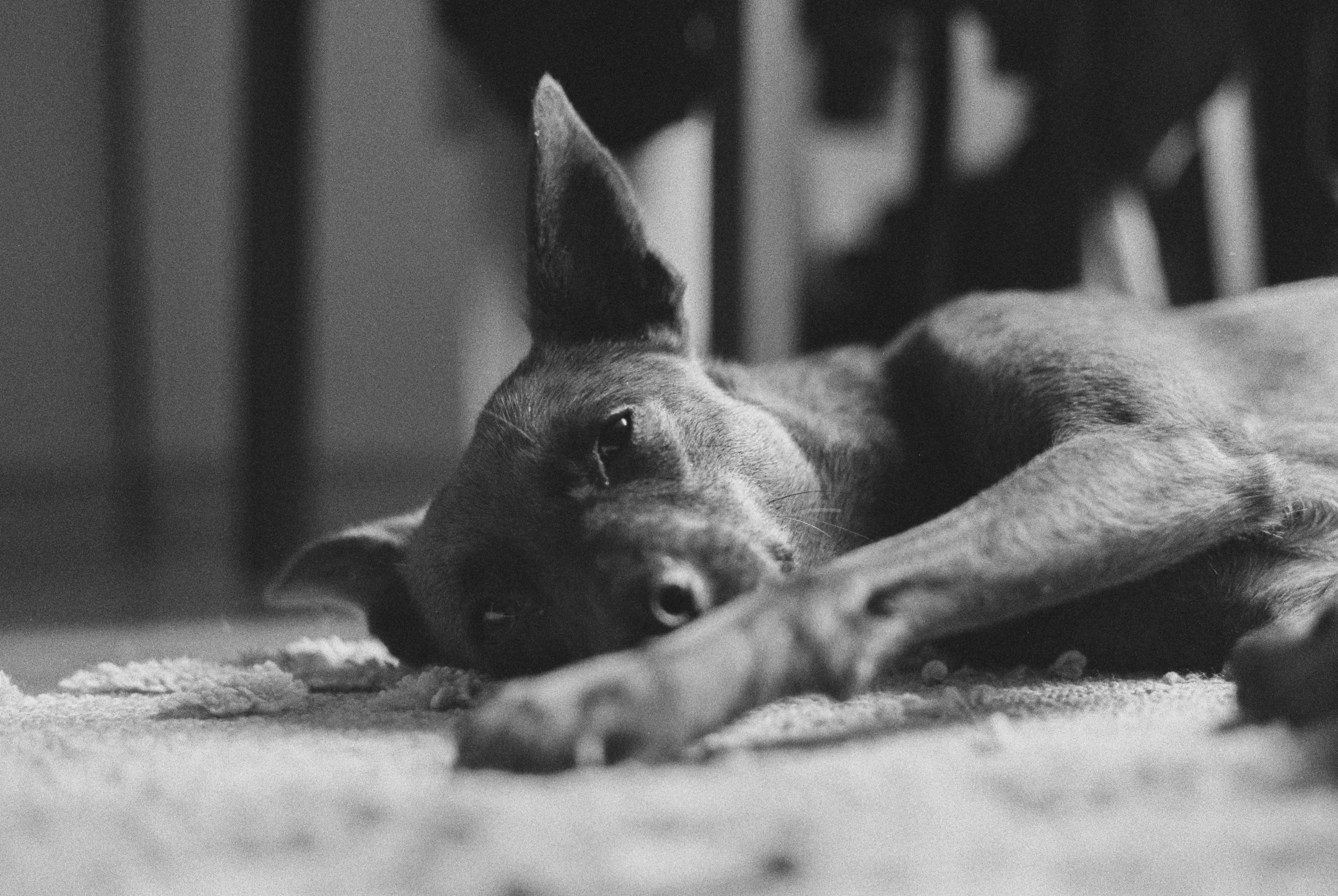 R1-06162-0028 Kopie.jpg