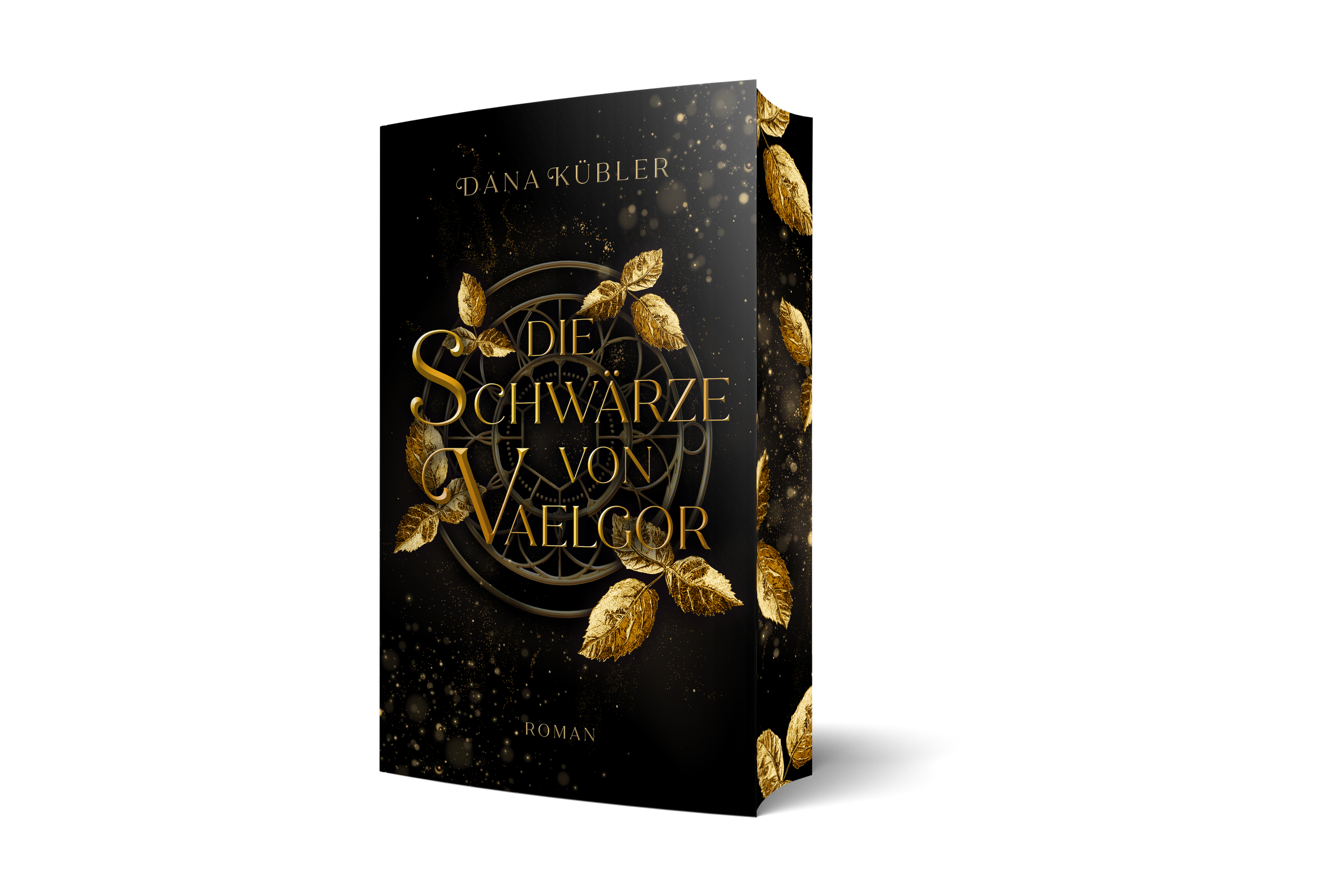 Die Schwärze von Vaelgor *BALD VORBESTELLBAR