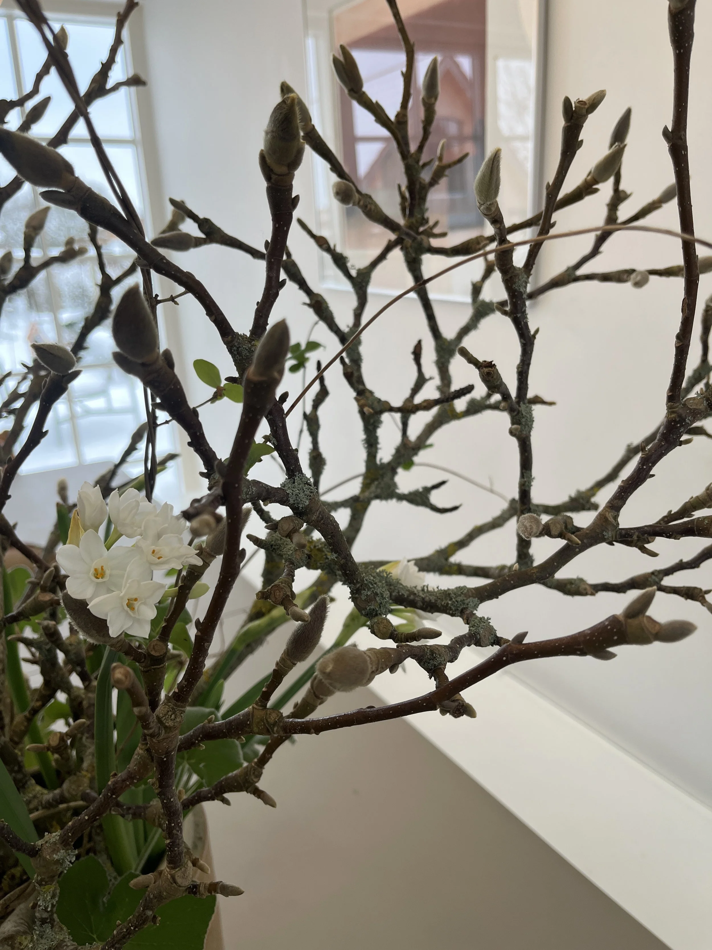 Januar i GRØFT – haven hviler og drømmene spirer