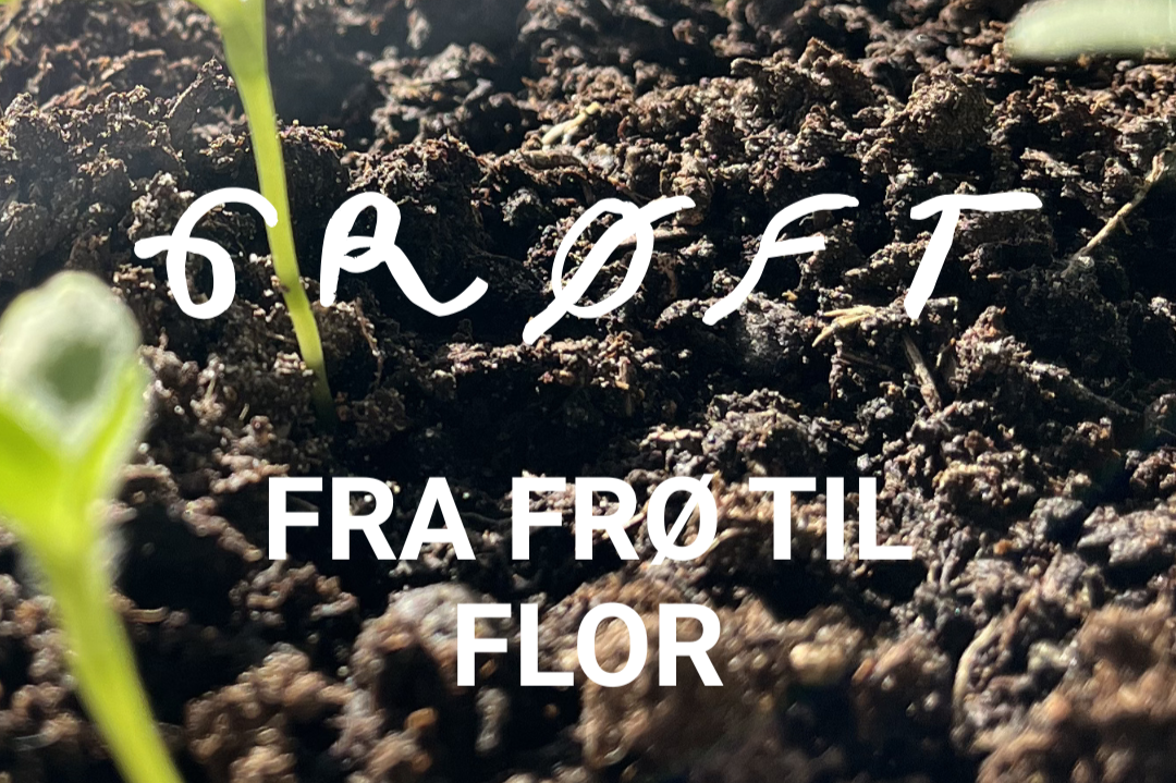 Forspiringsworkshop med hårdføre sommerblomster