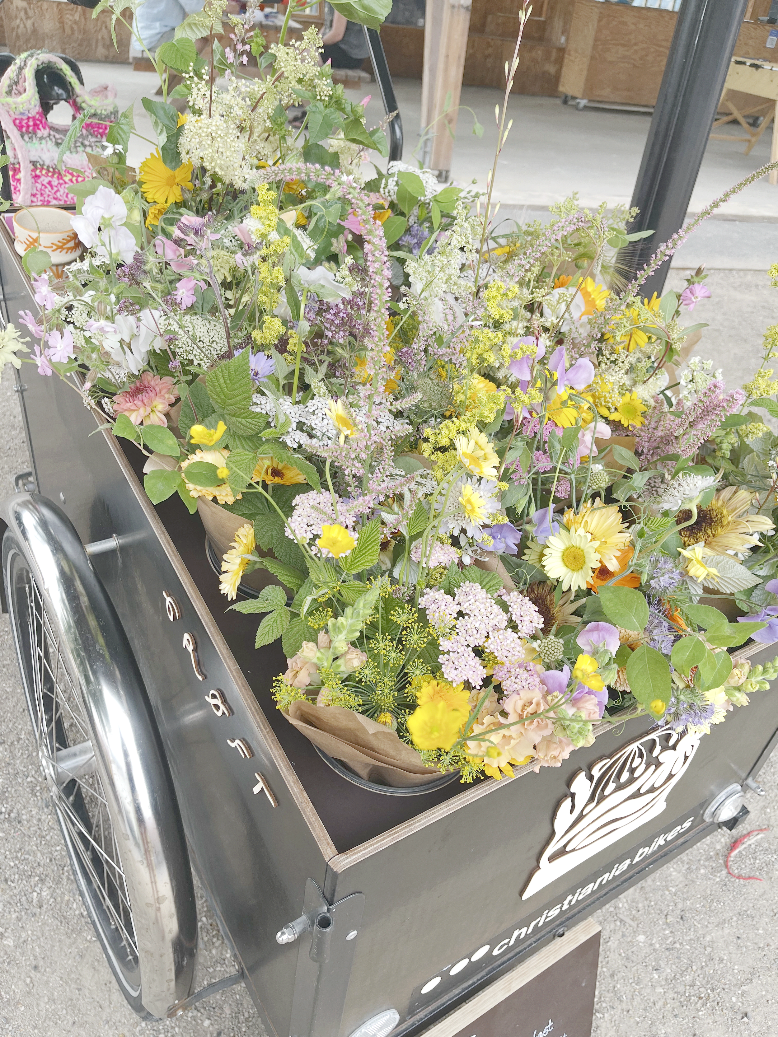 Blomster, hjemmehørende, vilde, insektvenlige, bæredygtige, lokaldyrket