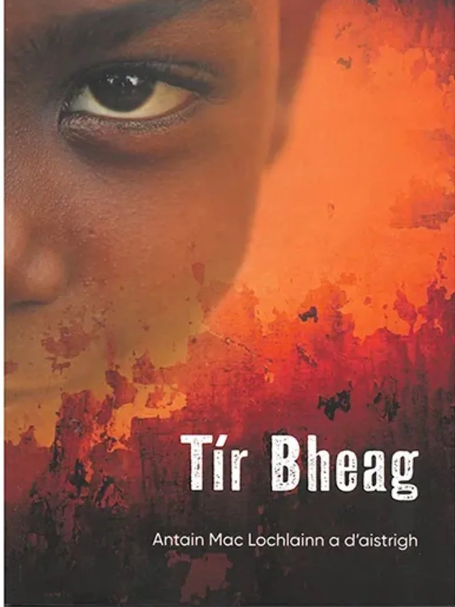 Beidh an Club Leabhar ag buaileadh in Kevin Street Library ag 6pm D&eacute; M&aacute;irt 1 I&uacute;il chun T&iacute;r Bheag le Ga&euml;l Faye (Antain Mac Lochlainn a d&rsquo;aistrigh) a phl&eacute;. Leanann an sc&eacute;al buachaill darbh ainm Gaby 