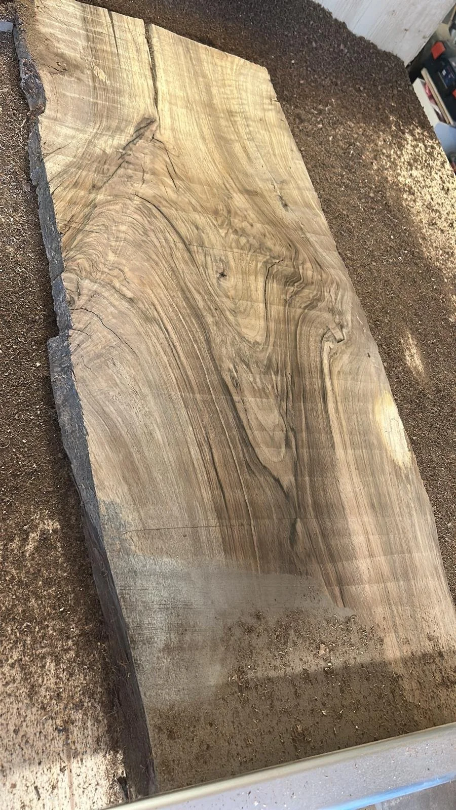 Une plaque de bois brut avec des motifs naturels et des veines visible, posée sur le sol en terre