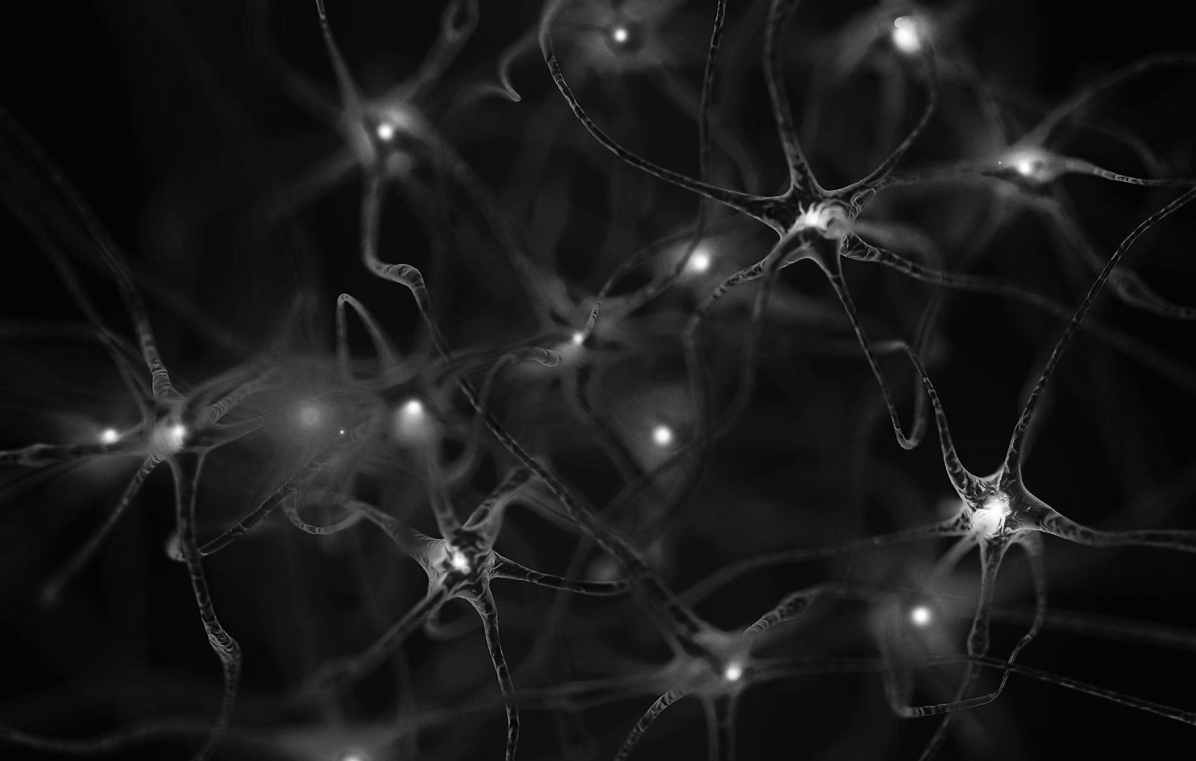 Black and white microscopic view of neurons with glowing synapses, interconnected and branching.