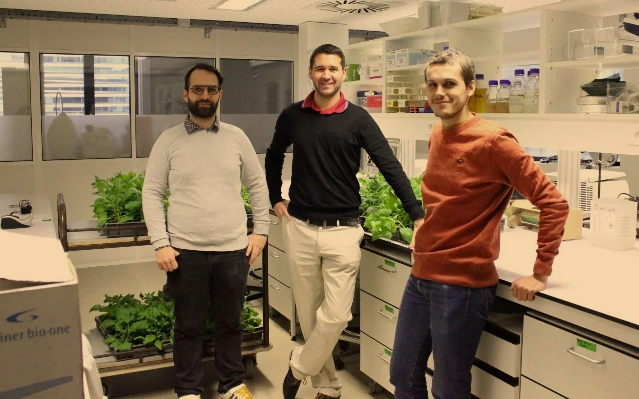 Three men standing in a laboratory with green plants and scientific equipment in the background.