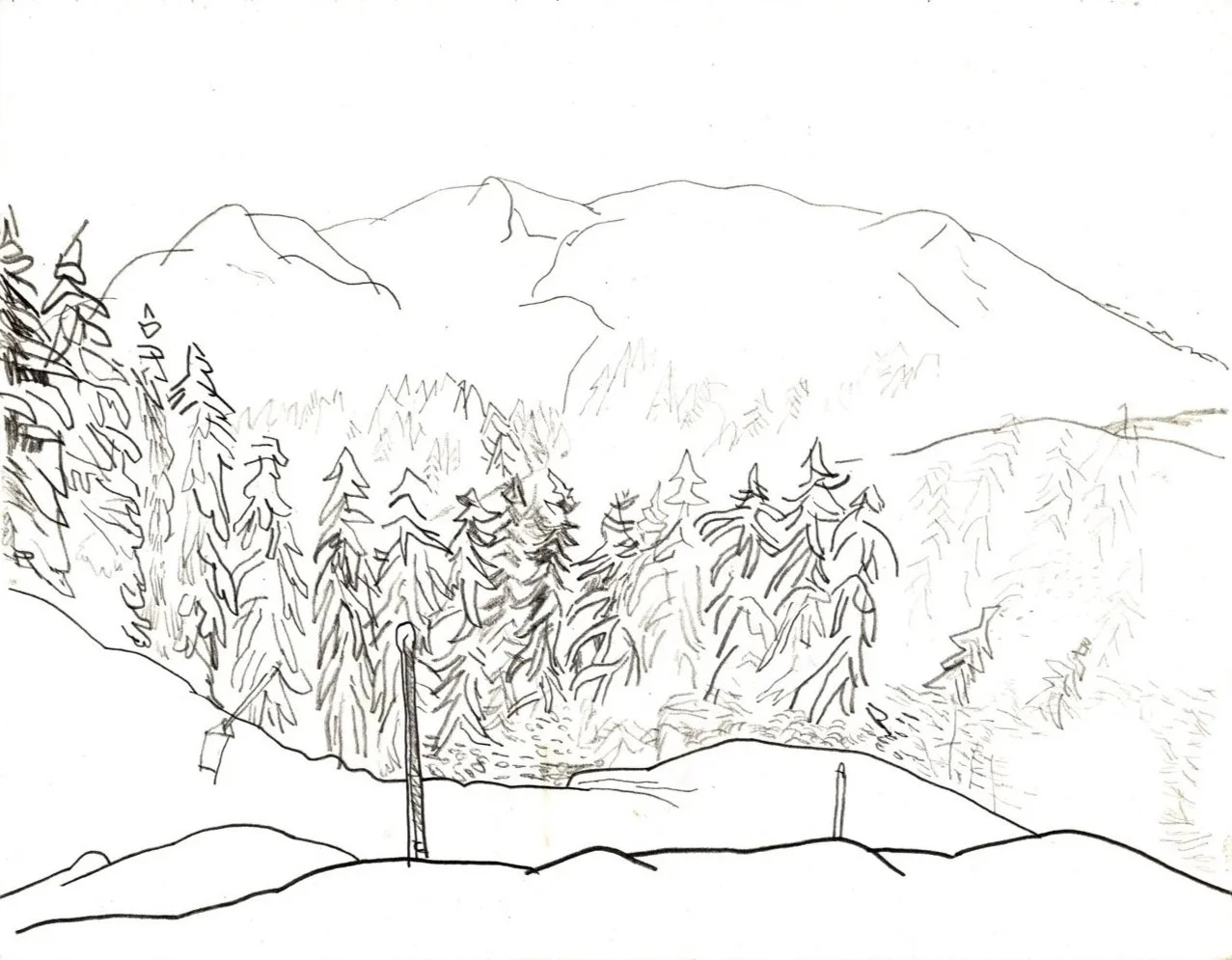 External affairs II. 2011
Graphite on paper