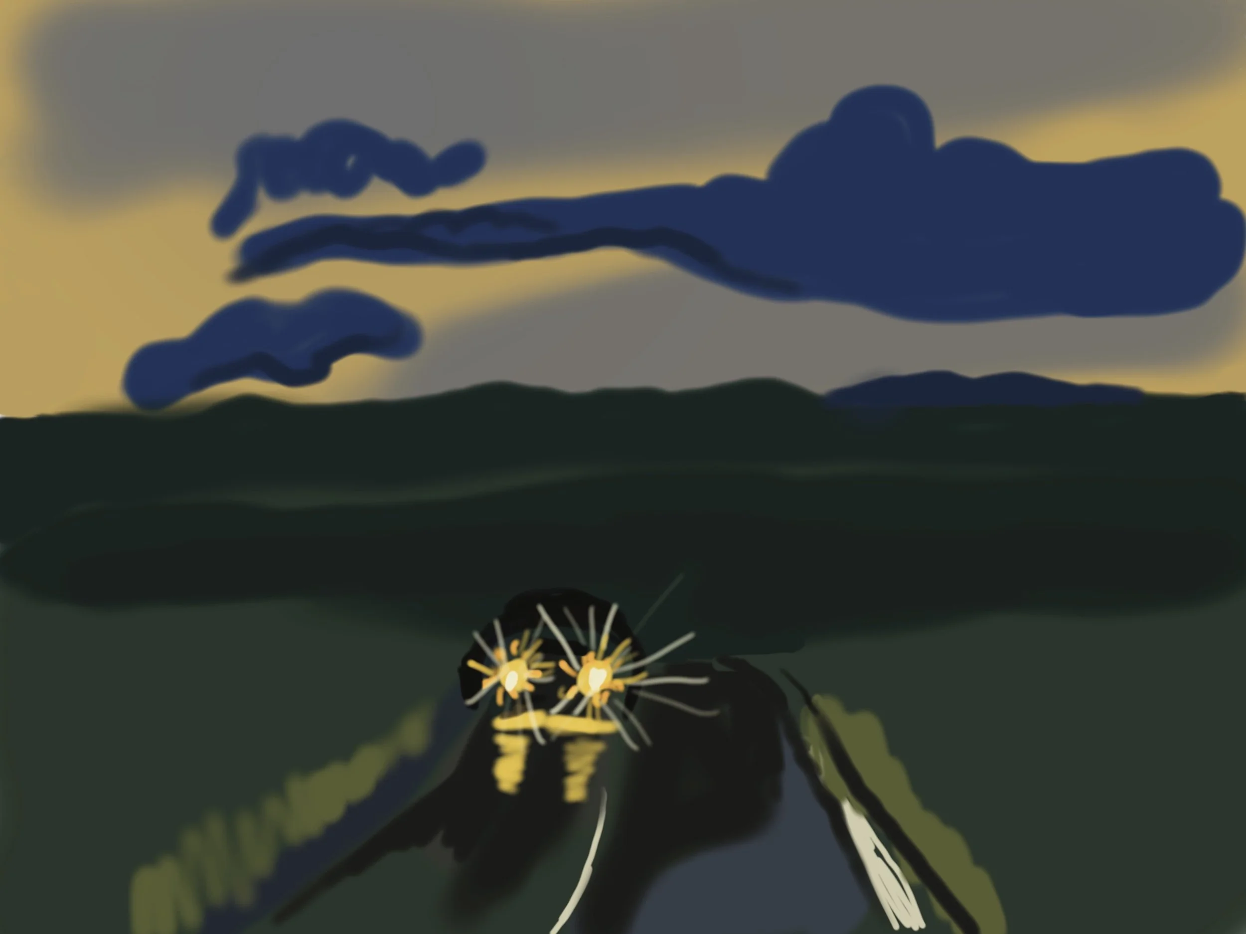 Warm FM digital drawing