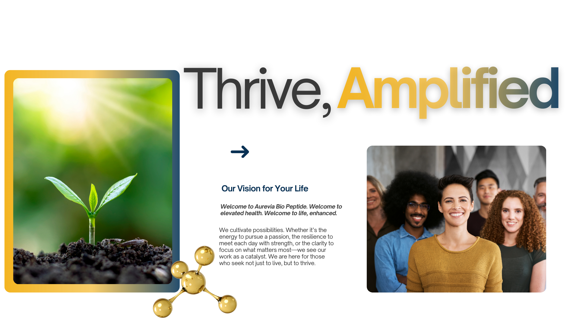 A motivational poster with the phrase "Thrive, Amplified" and an image of a small green plant sprouting from dark soil, sun rays shining from the top left corner, and a group of diverse smiling people.