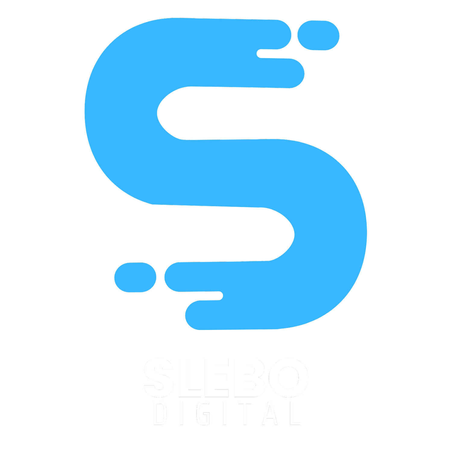 SLEBO DIGITAL