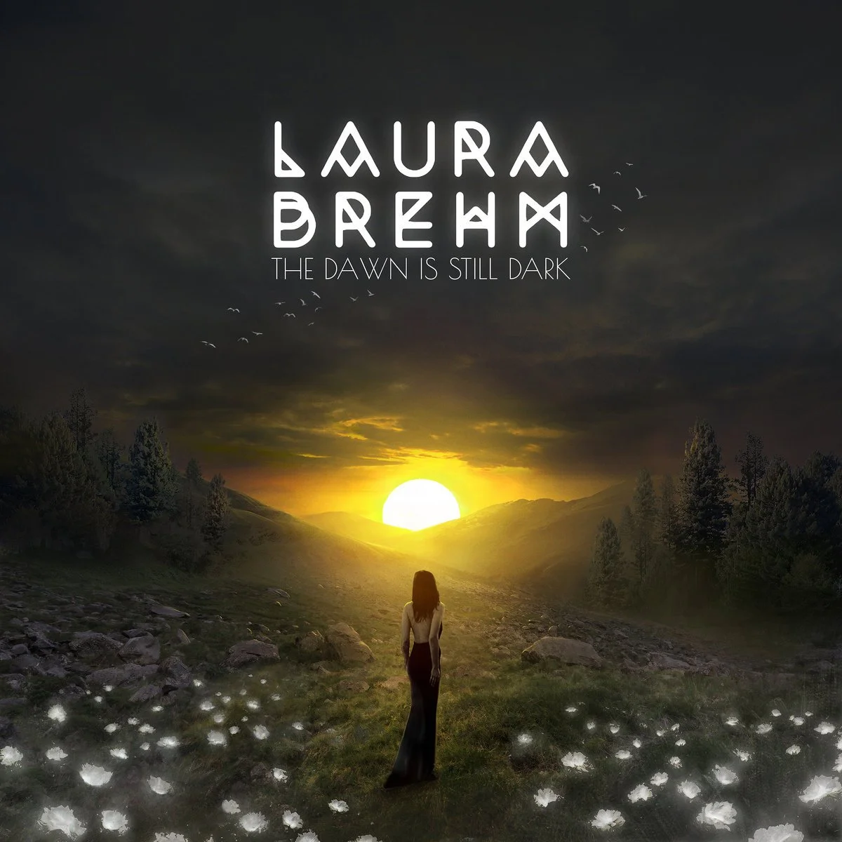 A woman standing outdoors in a field with flowers and rocks at sunrise or sunset, with dark clouds overhead and a flock of birds flying, and text that reads 'Laura Breham' and 'The Dawn Is Still Dark.'