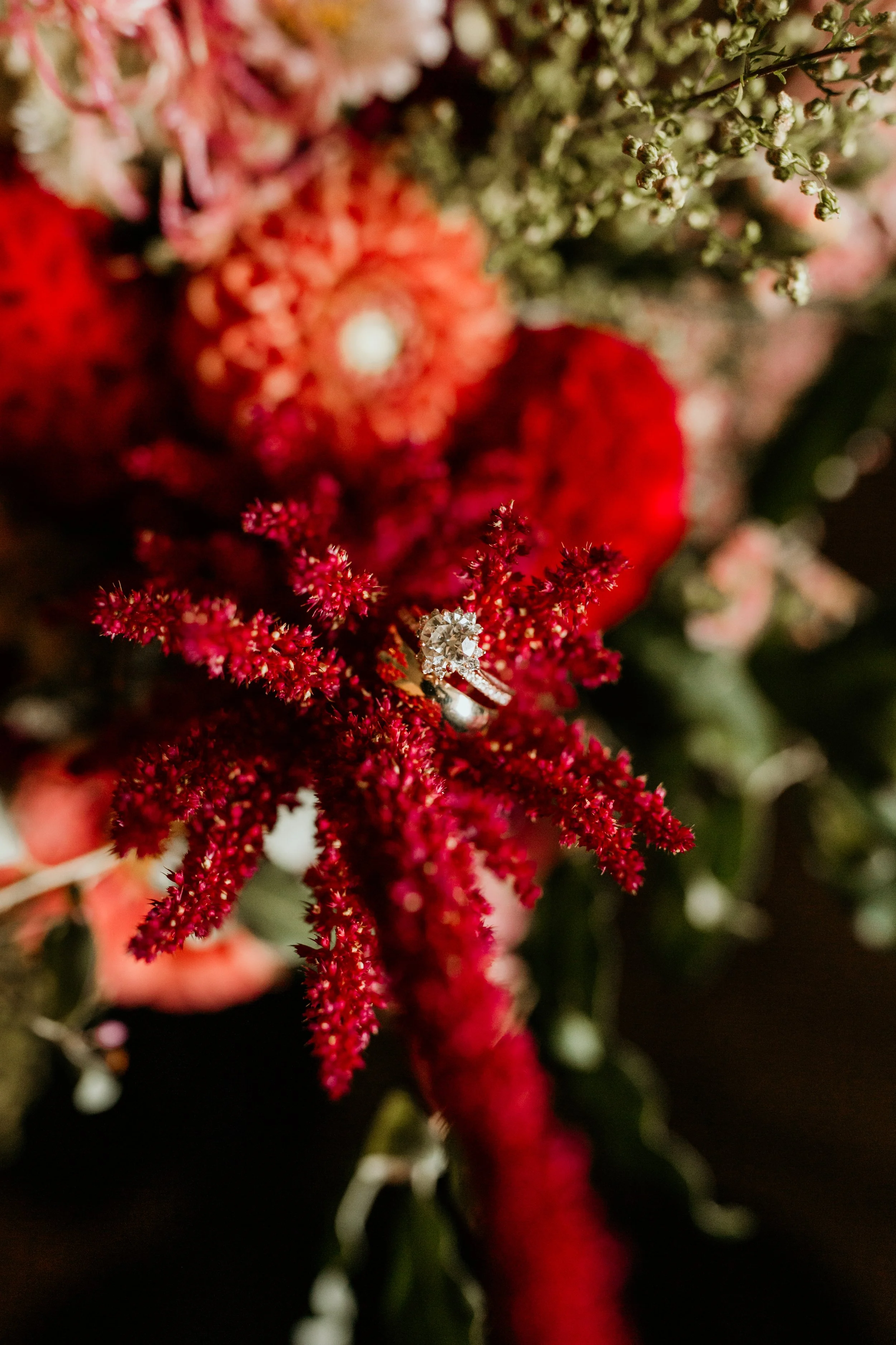 A close-up of a wedding ring resting on red and pink flowers with green foliage in the background.