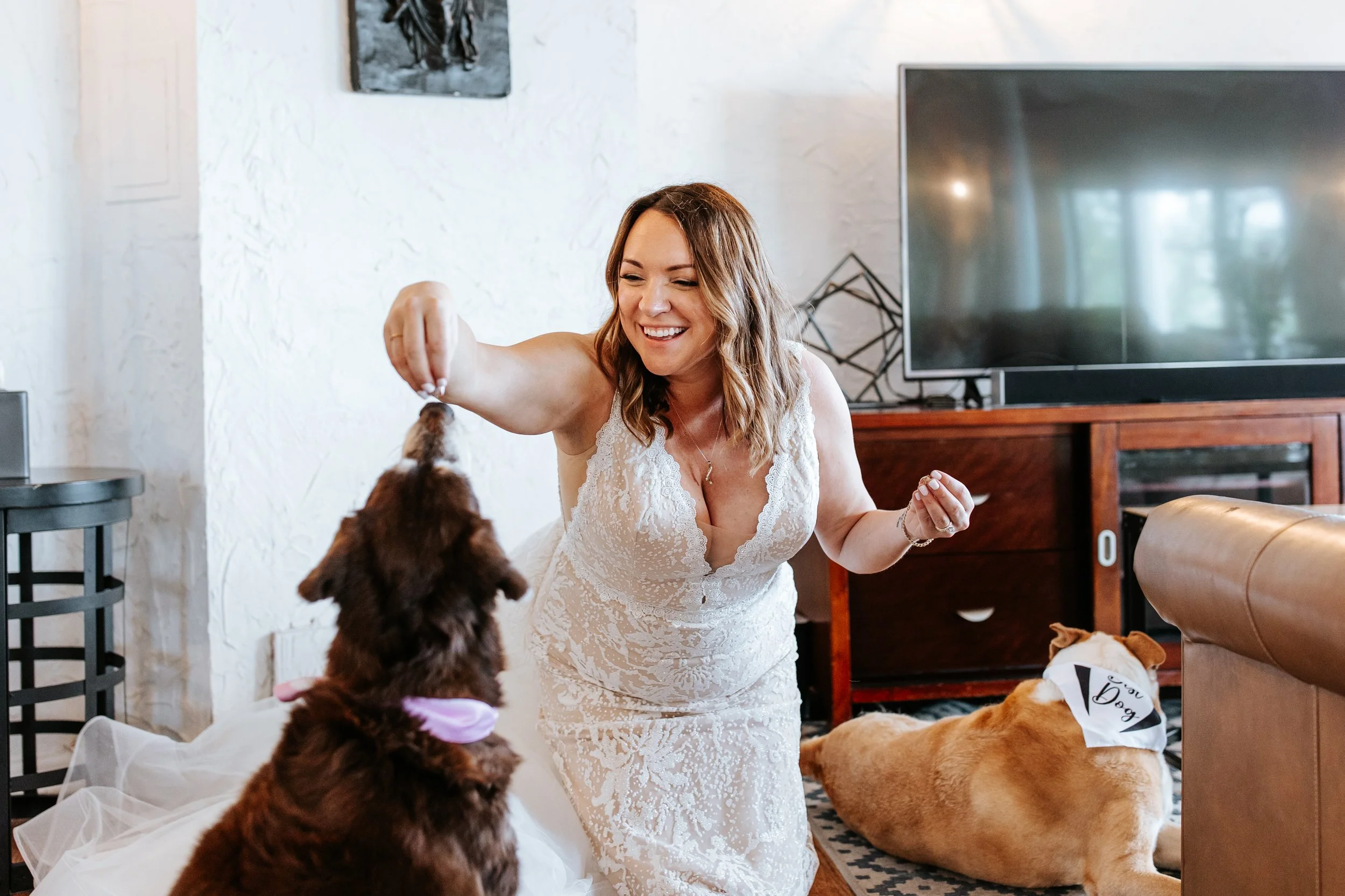 A woman in a white lace dress is smiling and playing with two dogs inside a living room. One dog, a brown and white one wearing a 'Dog Mom' bandana, is lying on the floor, while another dark brown dog with a pink bandana is sitting and reaching up.