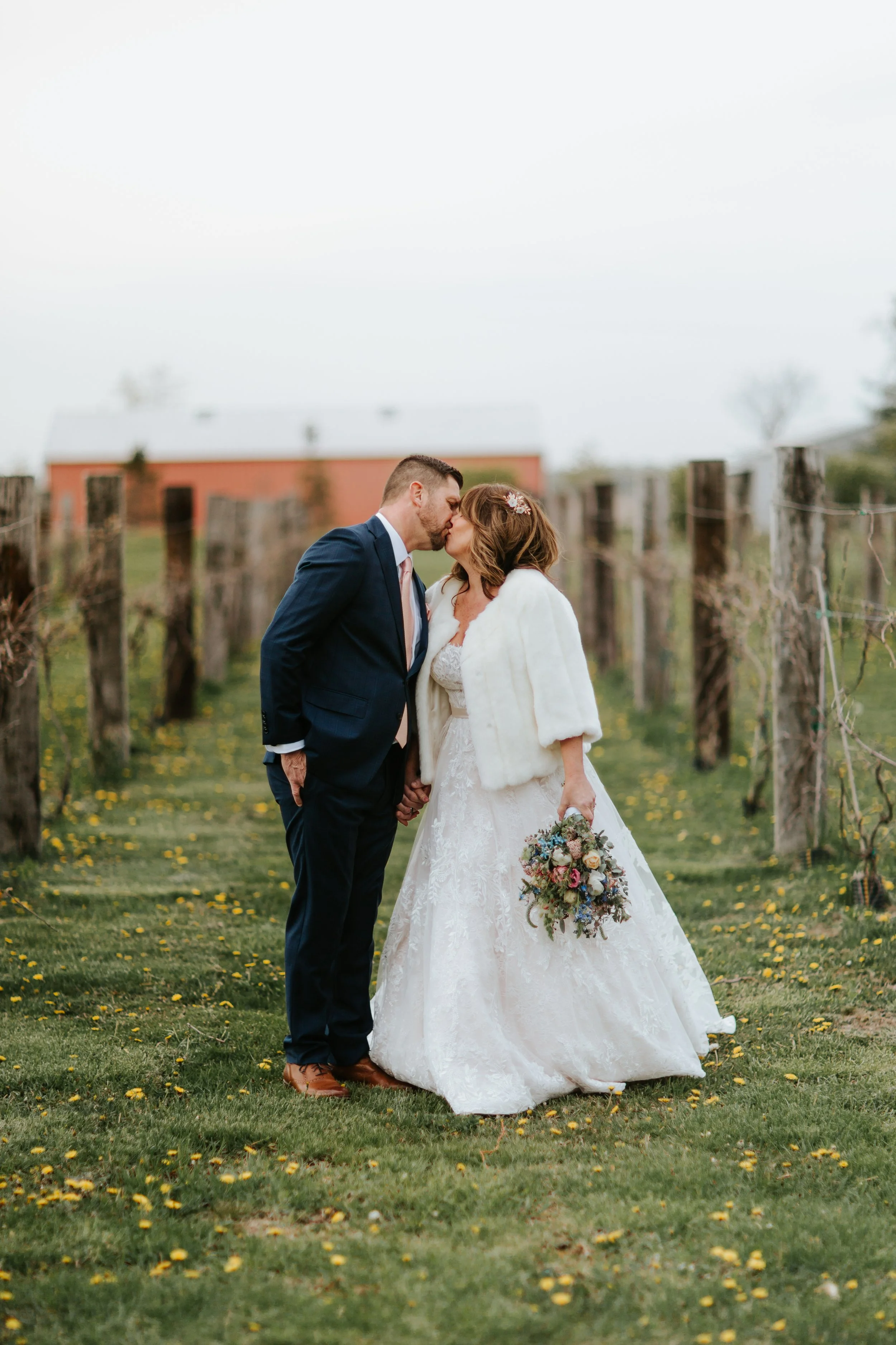 A bride and groom sharing a kiss in a vineyard, with yellow flowers on the grass and a red barn in the background during their wedding.