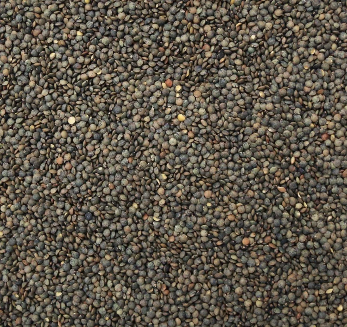 Mushroom and Lentil Cottage Pie