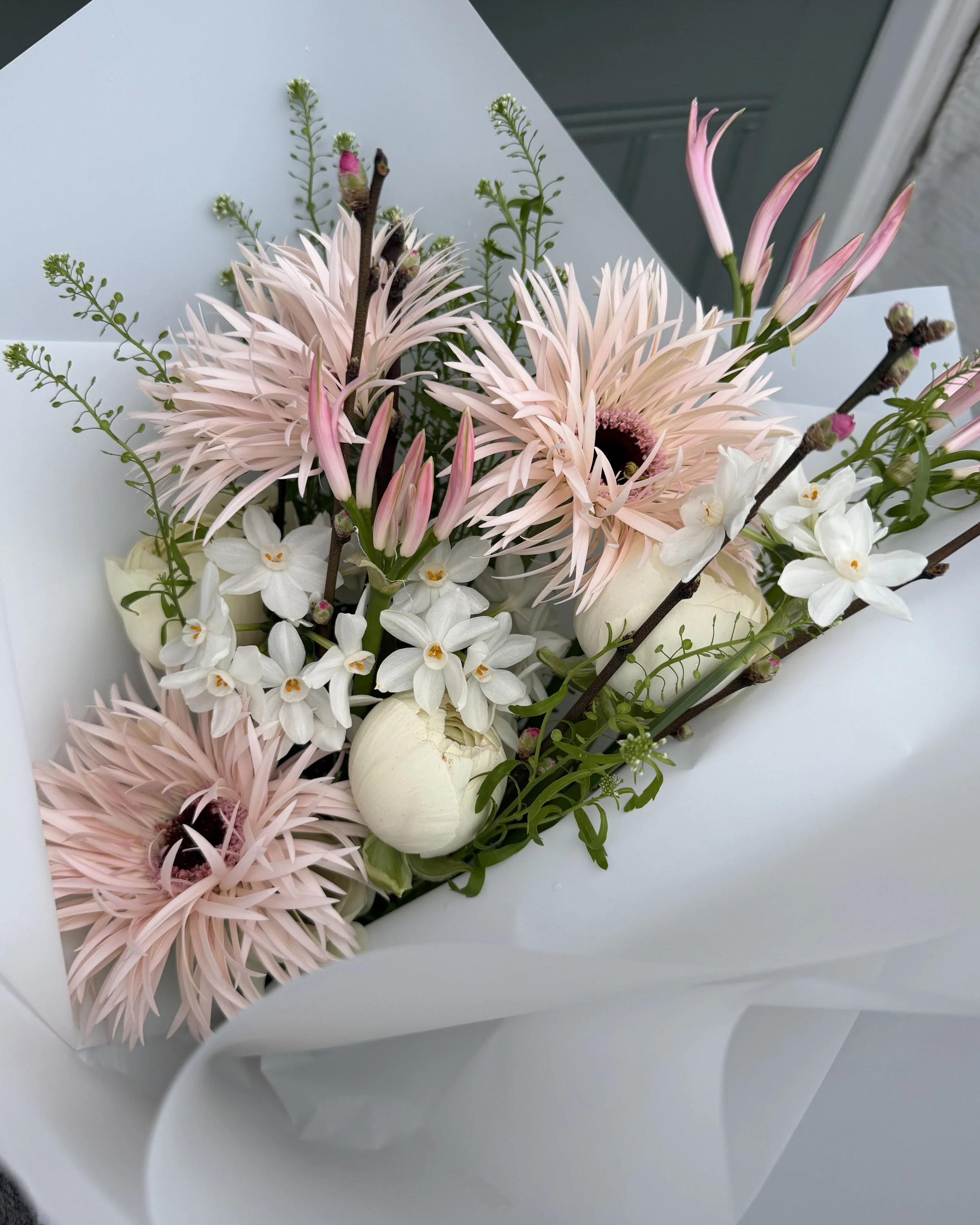 Untitled design-14.jpg