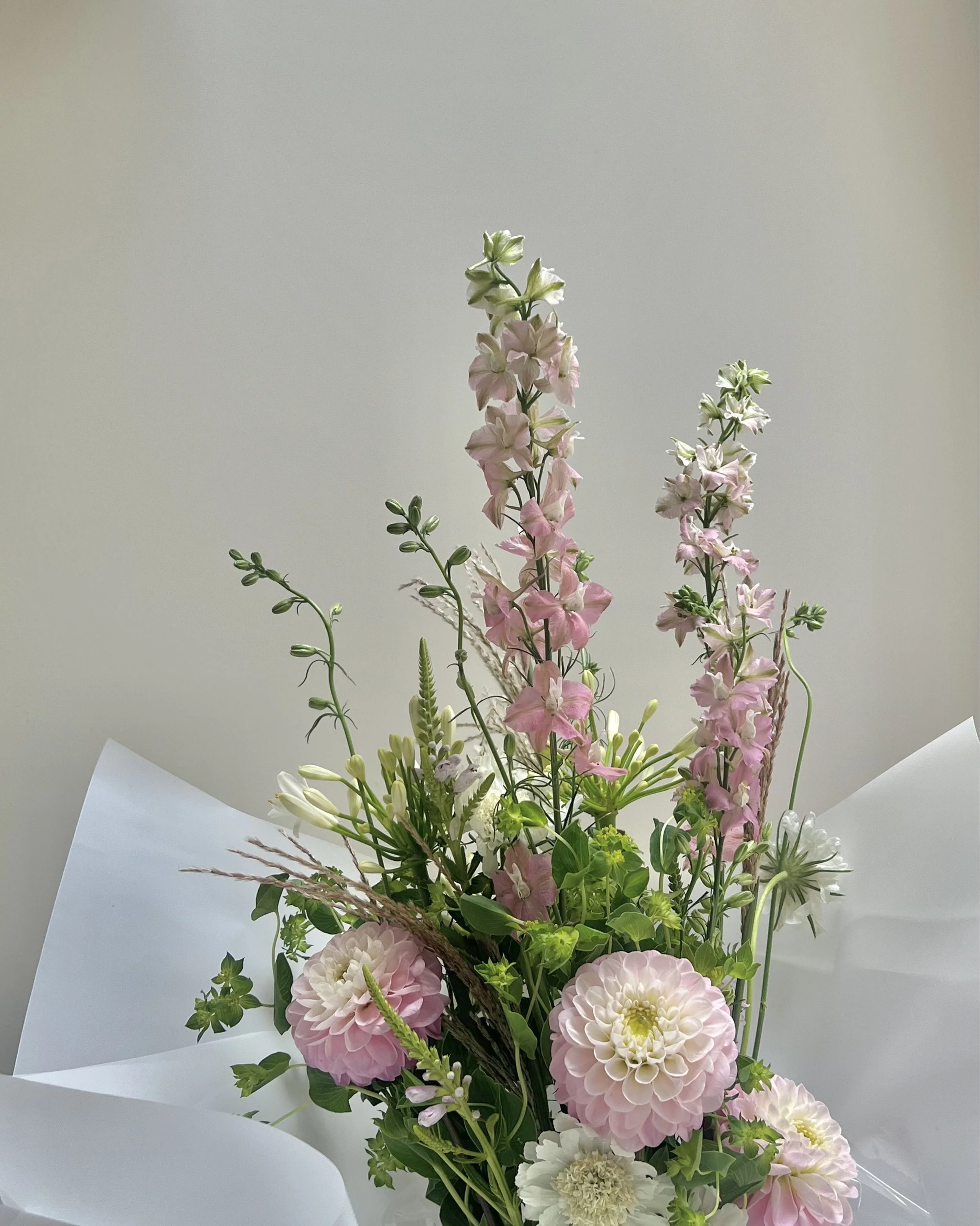 Untitled design-60.jpg