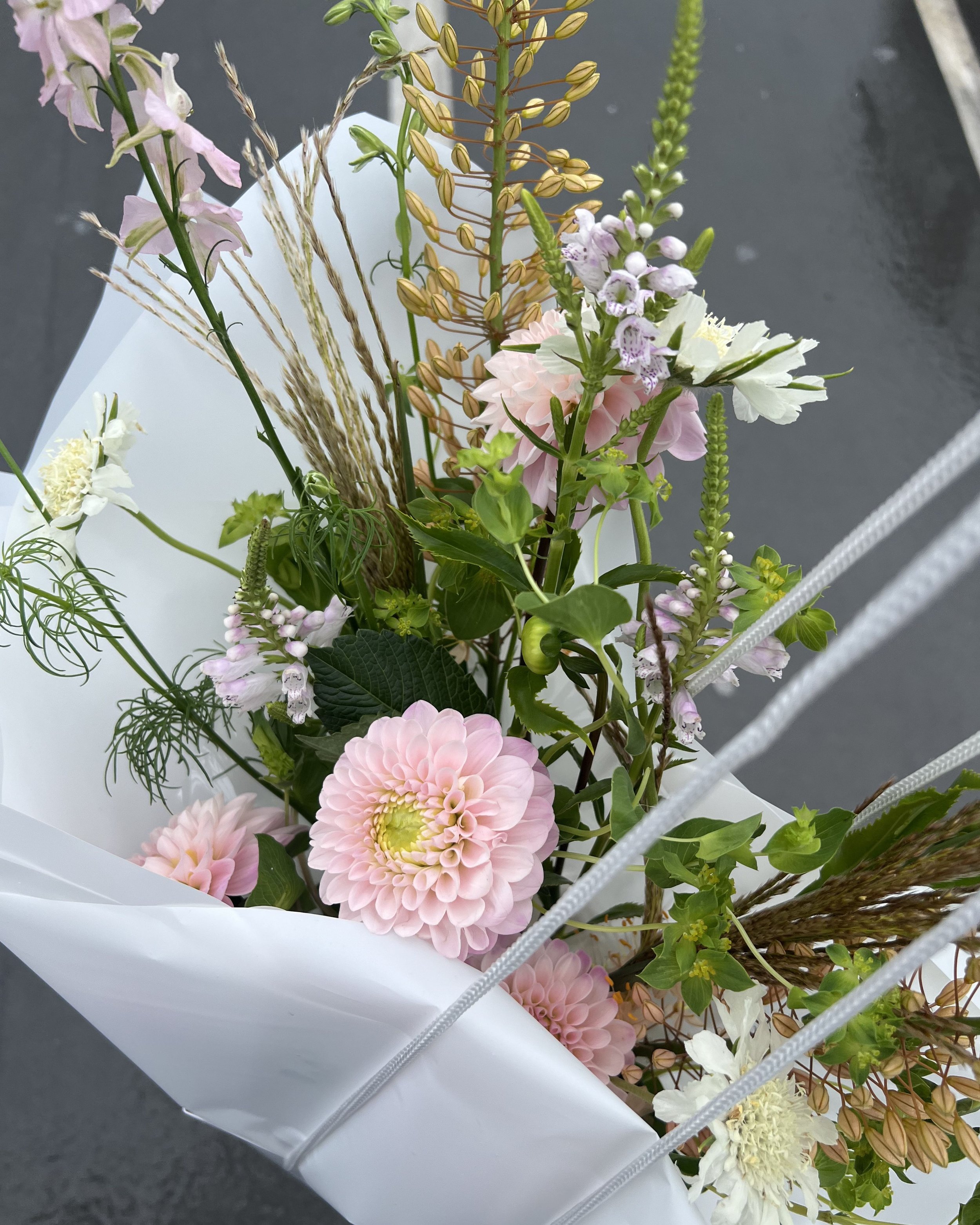 Untitled design-63.jpg
