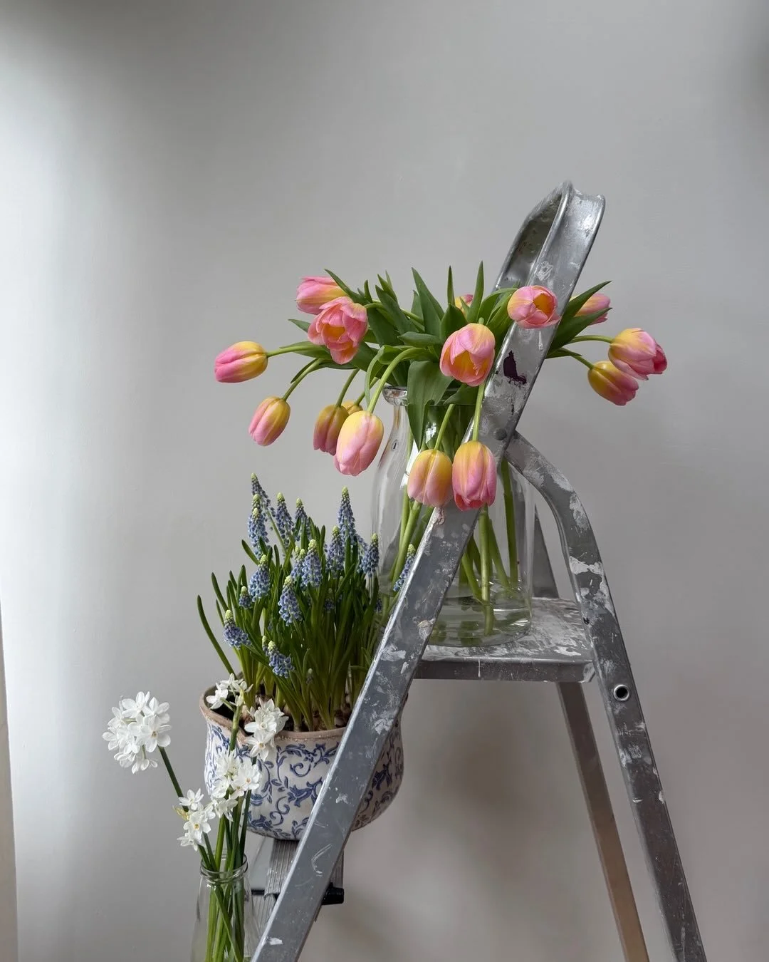 Spring things 🌱 

I will be taking pre-orders for Mother&rsquo;s Day bouquets soon which will include lots of beautiful spring blooms! 

#florist #manchesterflorist #springflowers #mothersday