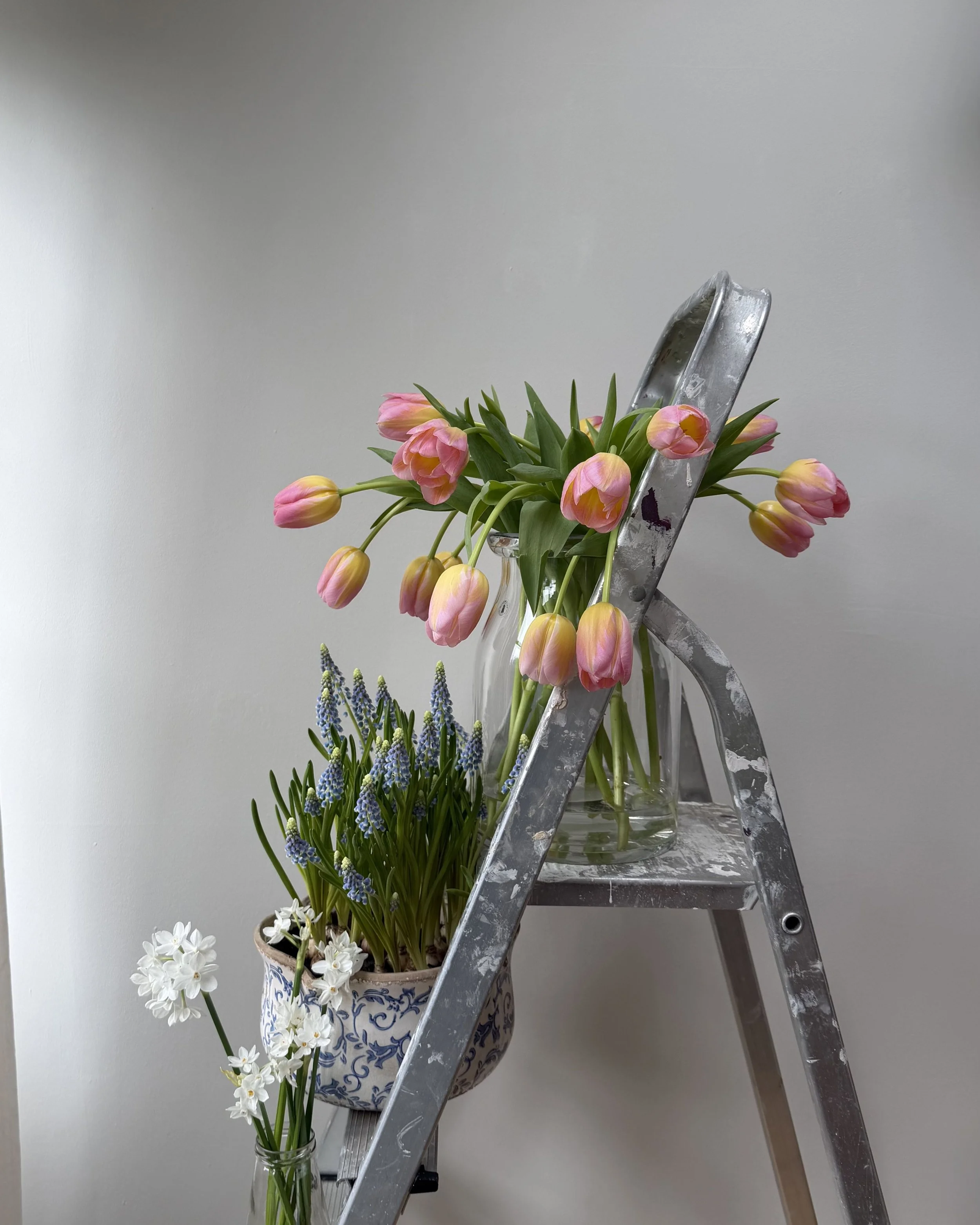 Untitled design-18.jpg