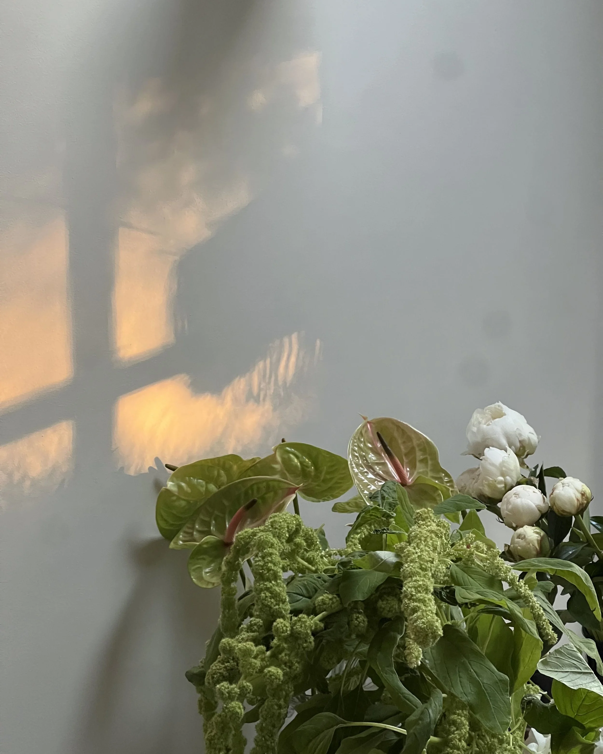 Untitled design-91.jpg