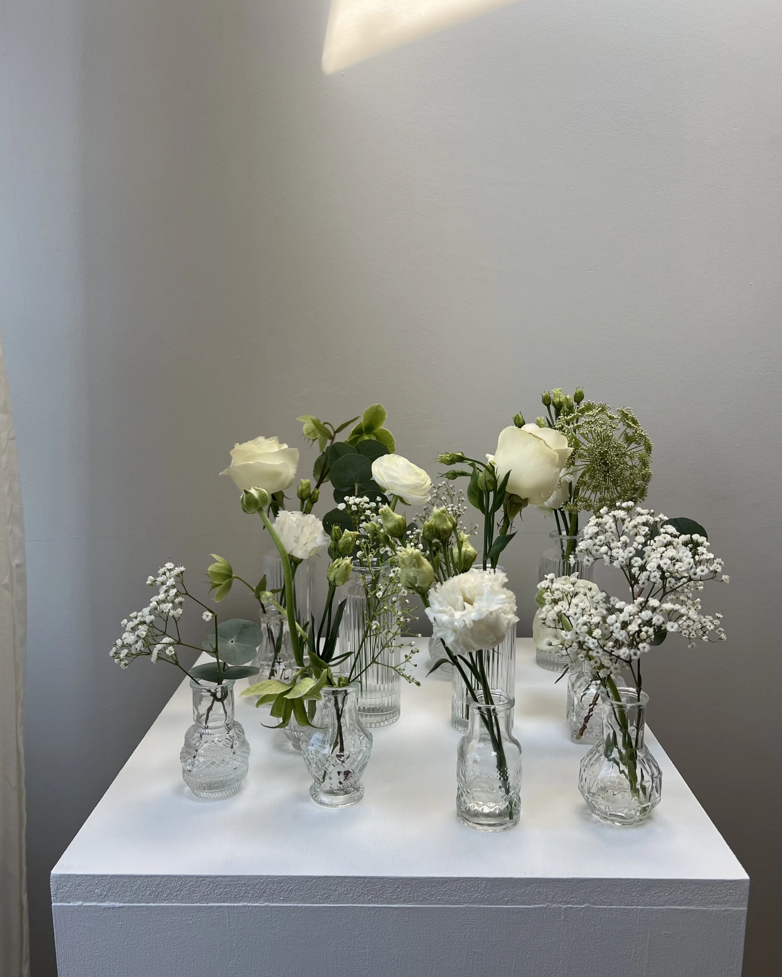 Untitled design-102.jpg