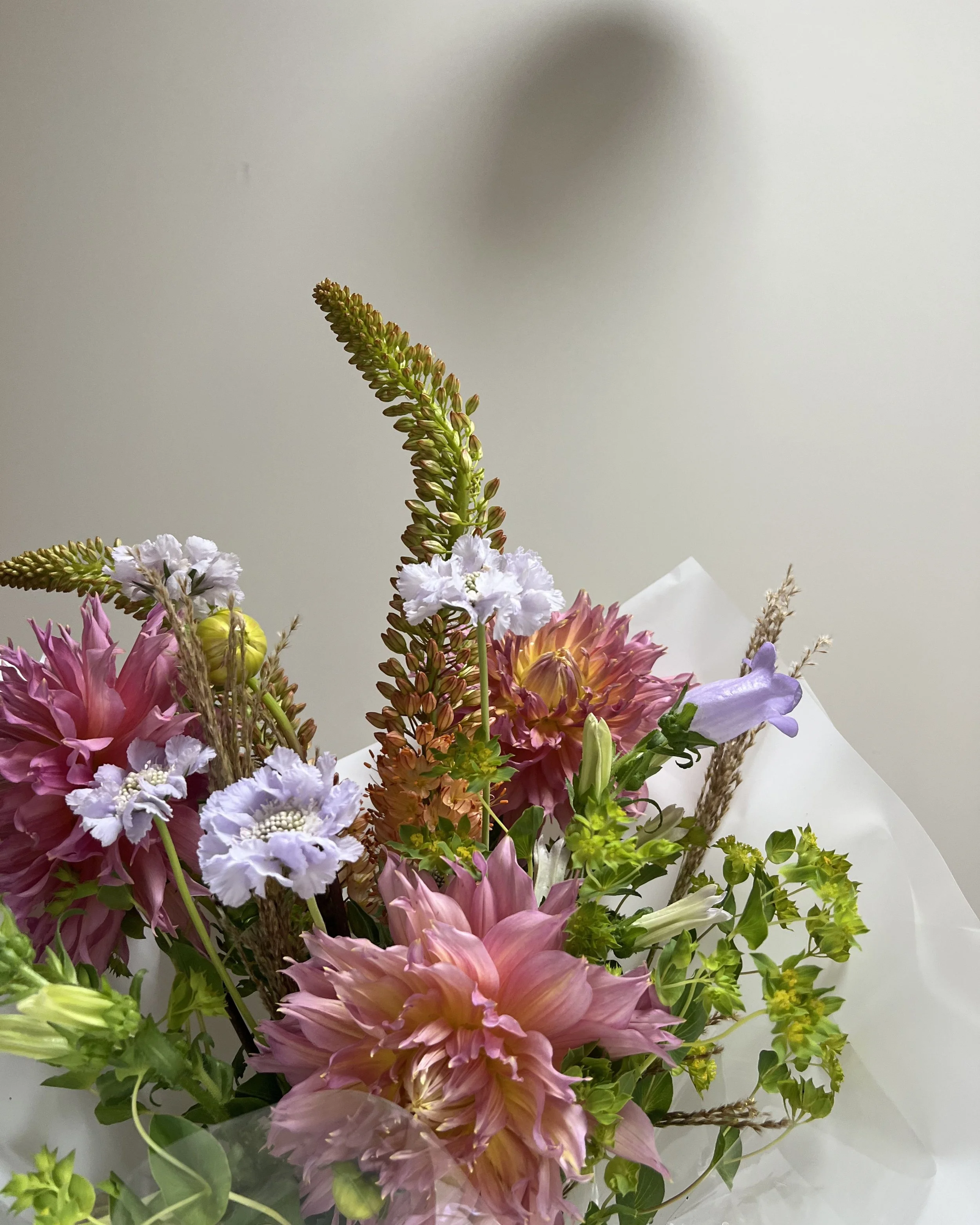 Untitled design-55.jpg