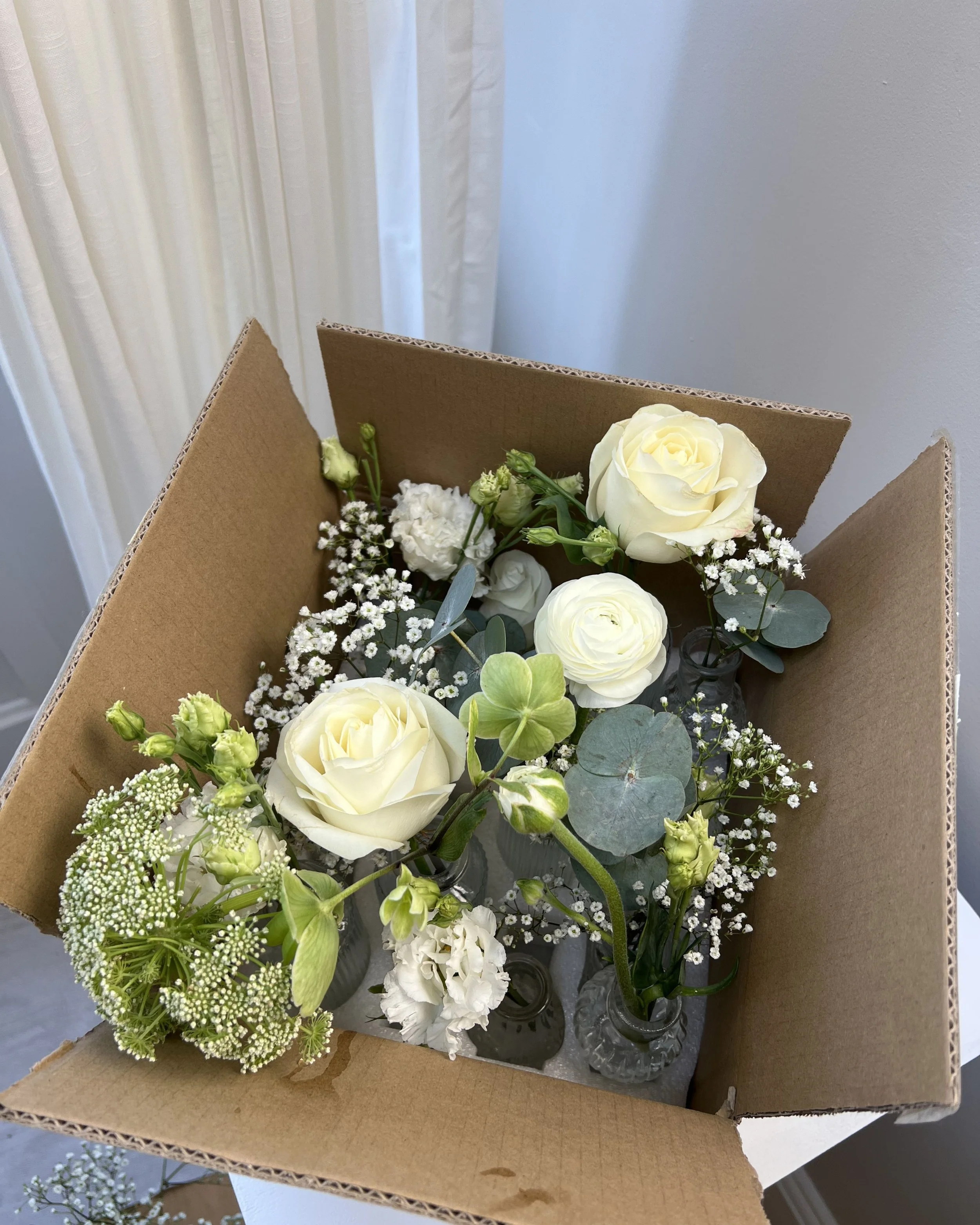 Untitled design-103.jpg