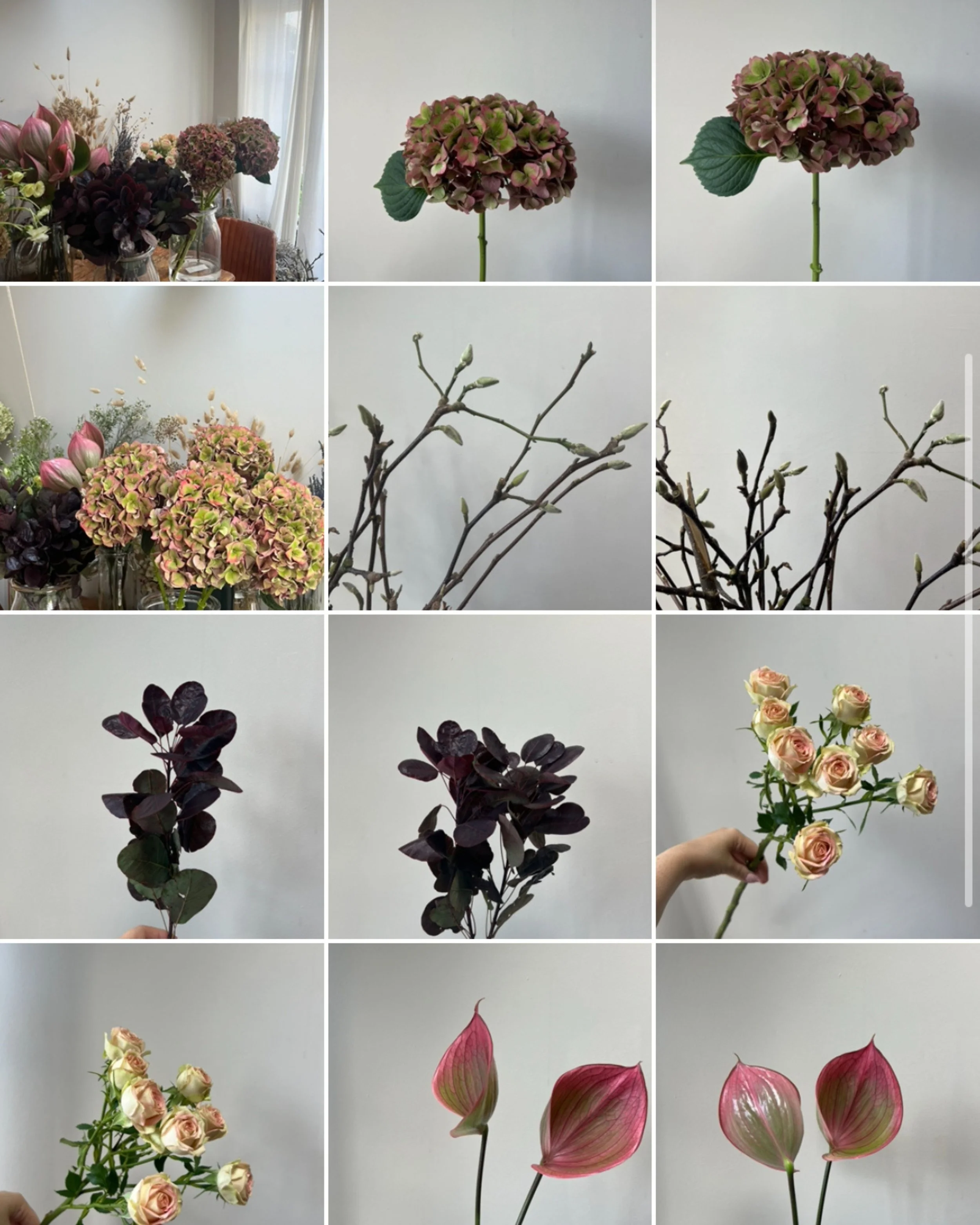 Untitled design-48.jpg