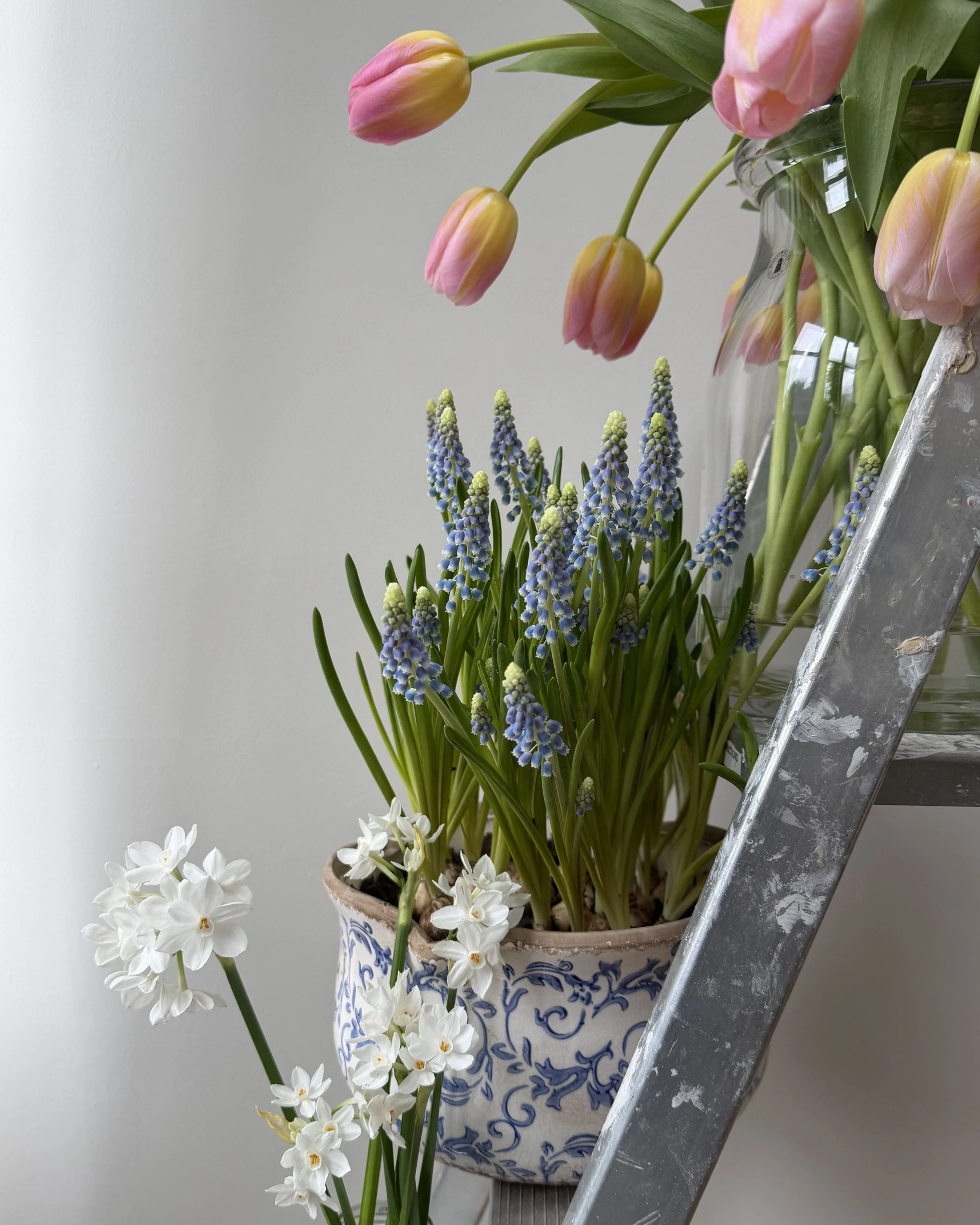 Untitled design-25.jpg