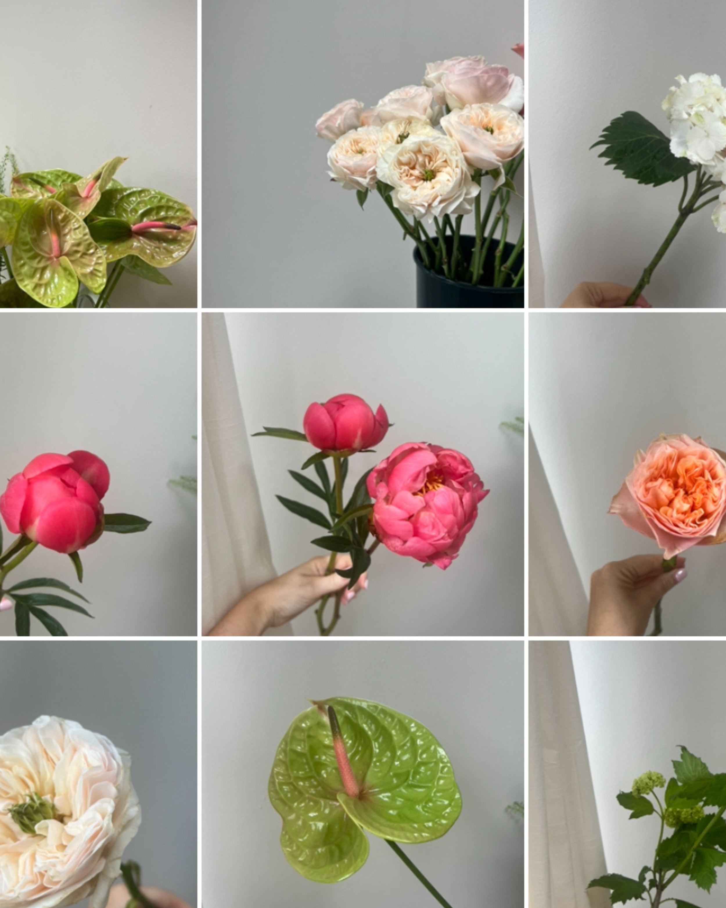 Untitled design-92.jpg
