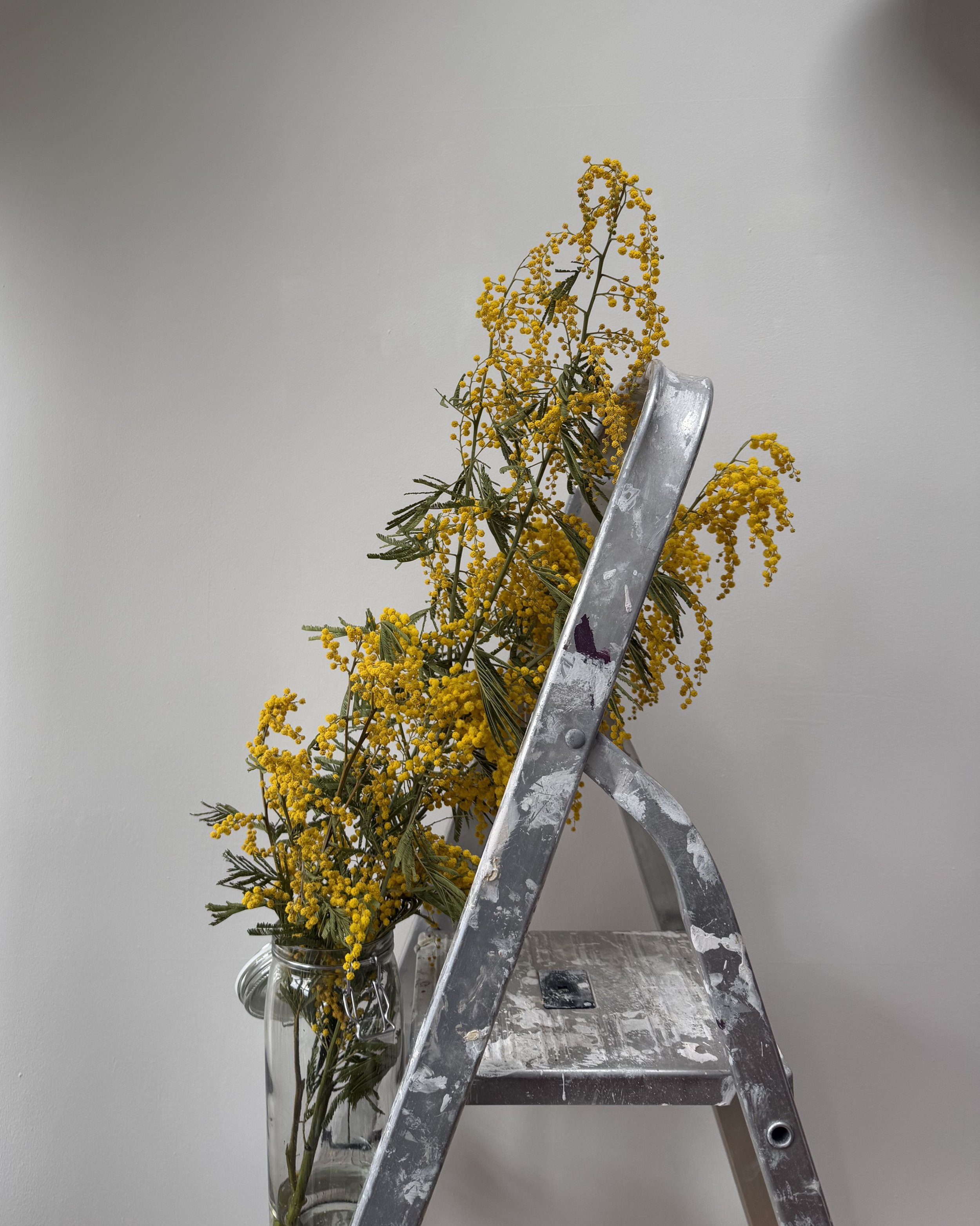 Untitled design-19.jpg