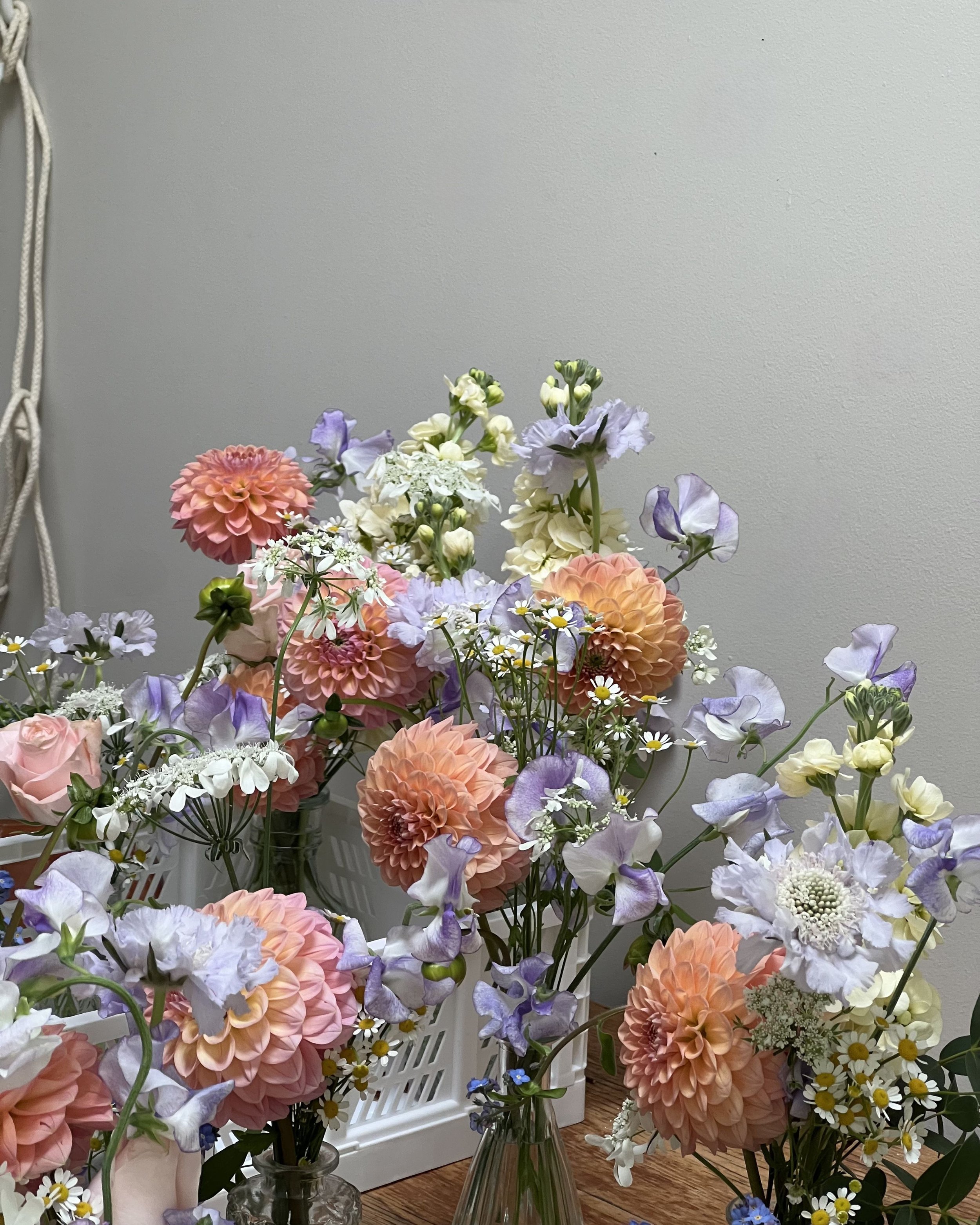 Untitled design-67.jpg