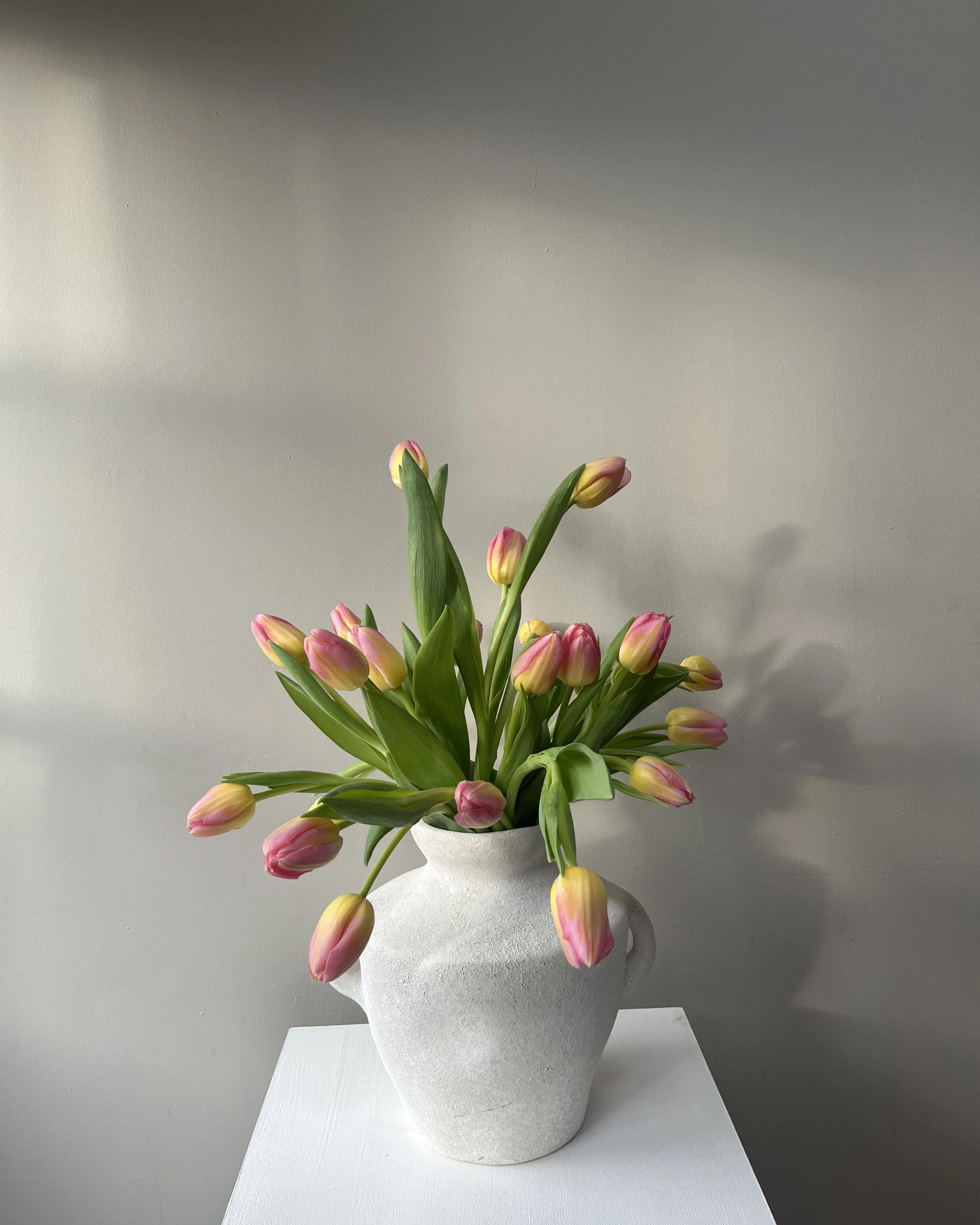 Untitled design-22.jpg