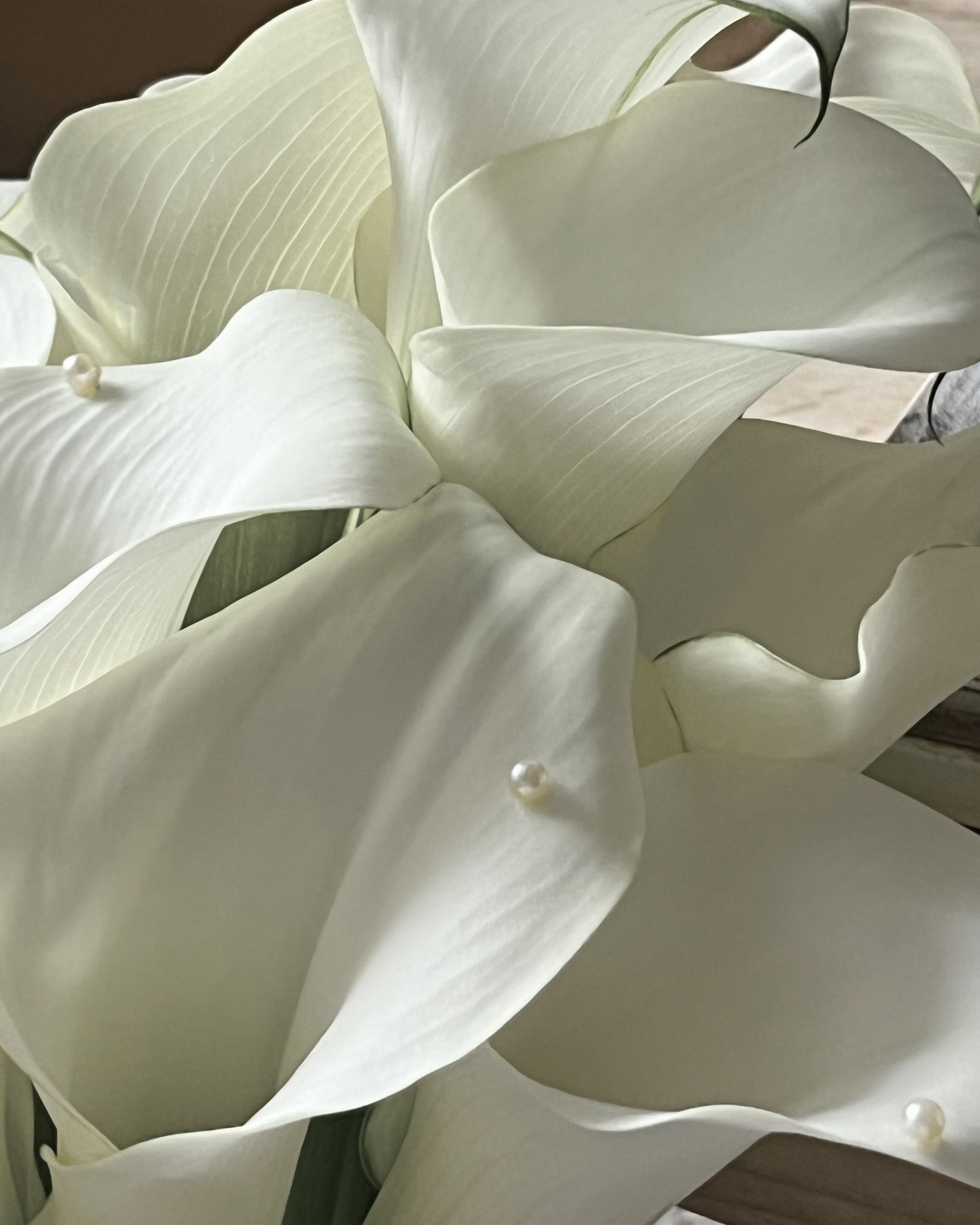Untitled design-30.jpg