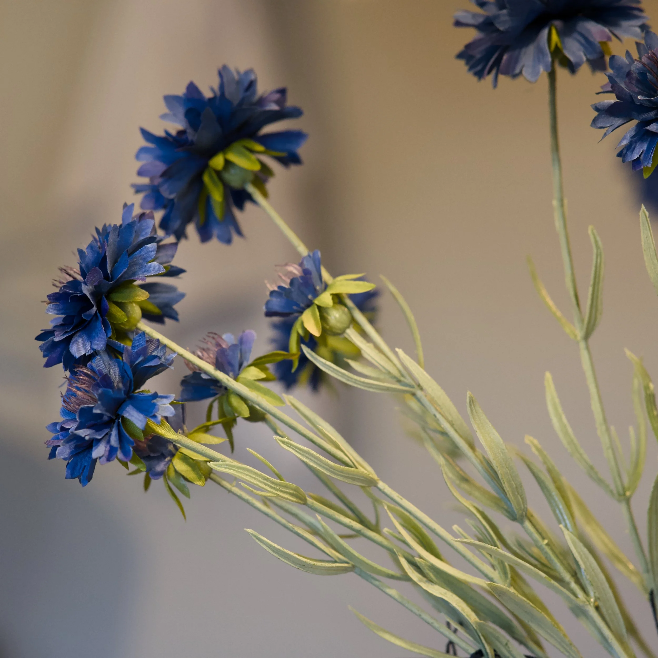 Blaue künstliche Blumen mit grünen Blättern auf einem grauen Hintergrund.