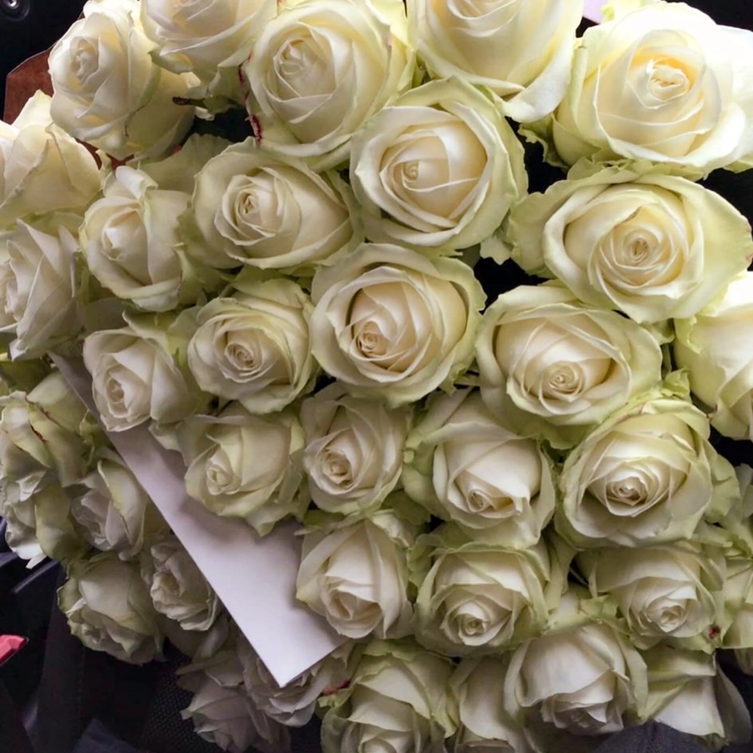 Weiße Rosen in einer Vase