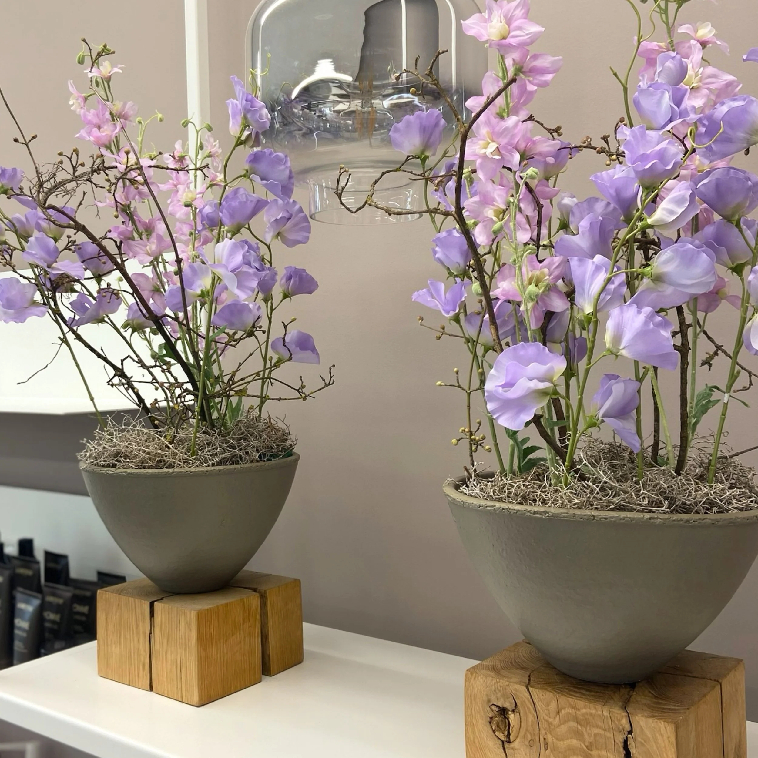 Verschiedene Topfpflanzen auf einem weißen Regal, darunter ein Blumentopf mit lila und weißen Blumen, die auf Holzstützen stehen, im Hintergrund eine Wand mit einem Wasserhahn.